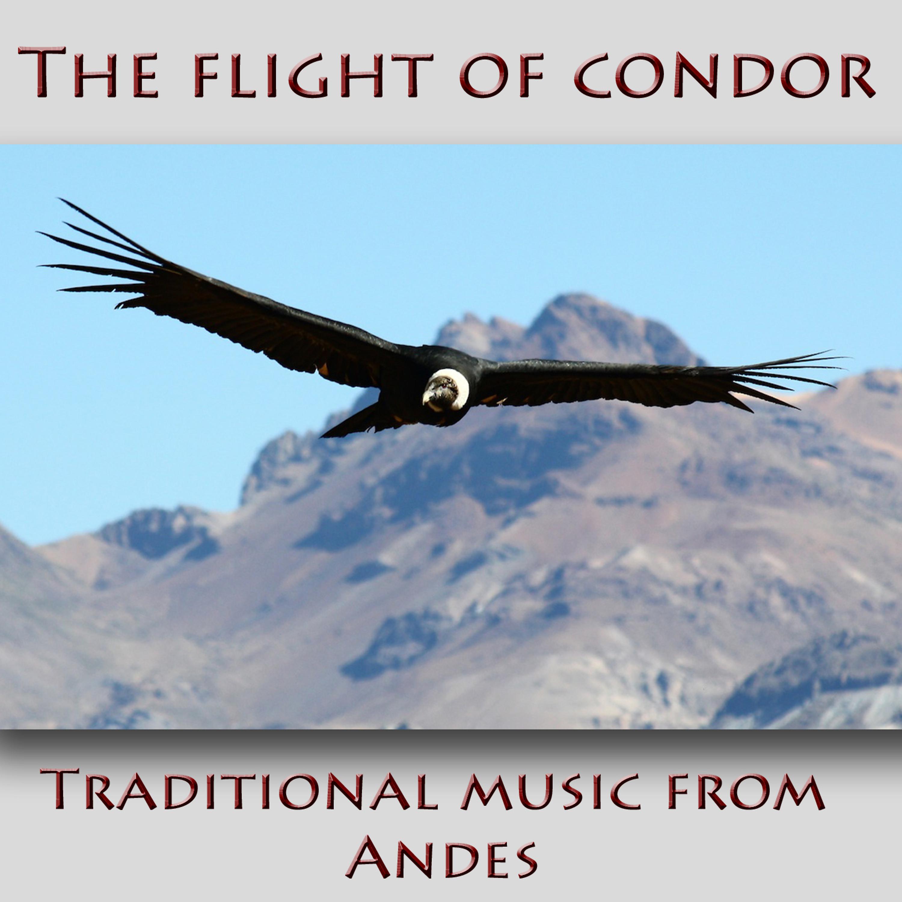 Постер альбома The Flight of Condor - Traditional Music from Andes