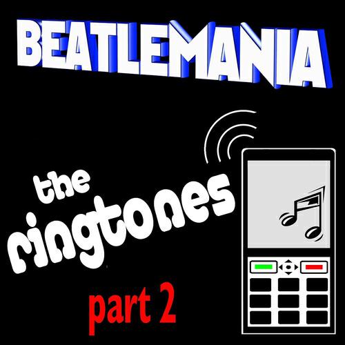 The Coverbeats - Eleonor Rigby