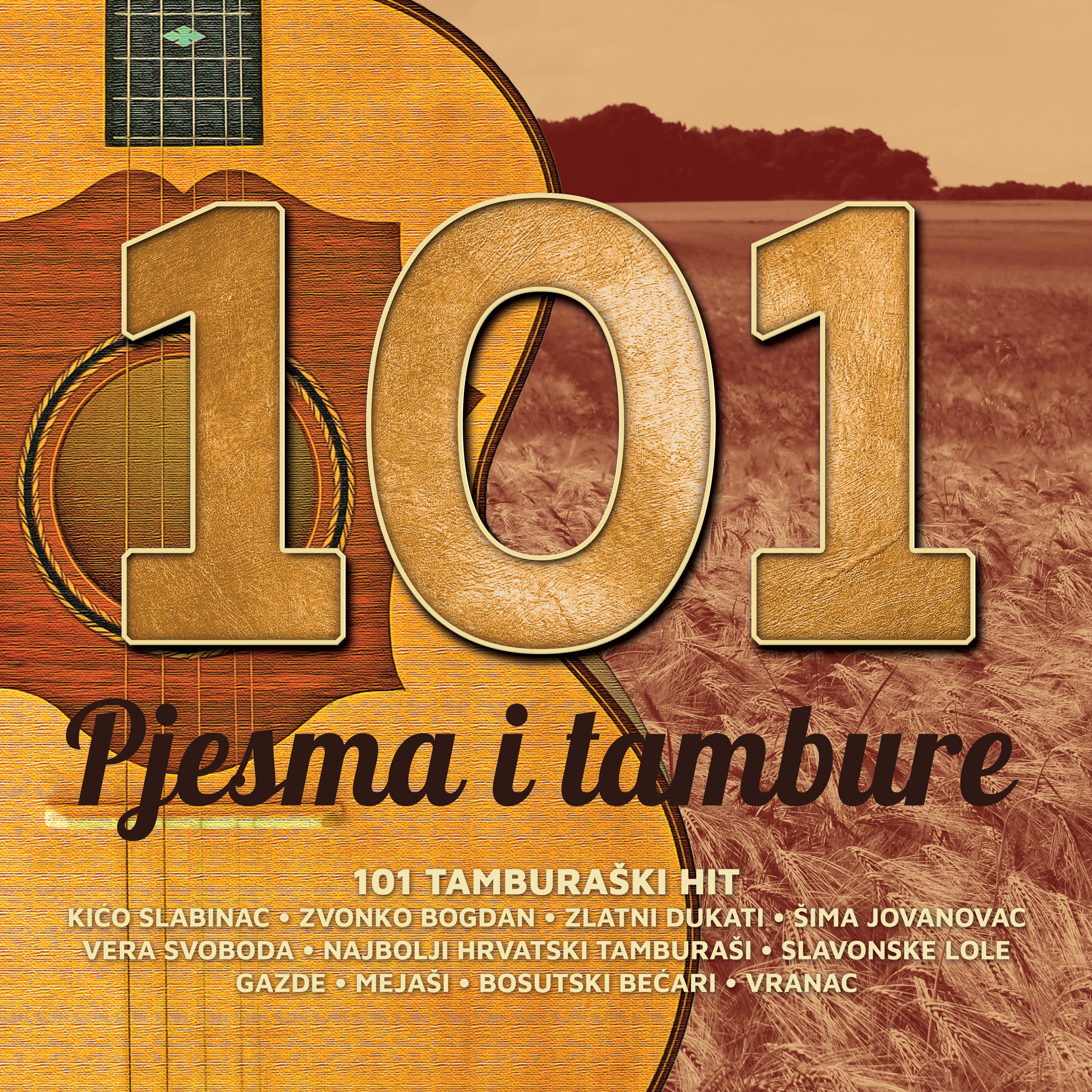 Постер альбома 101 hit - tambure