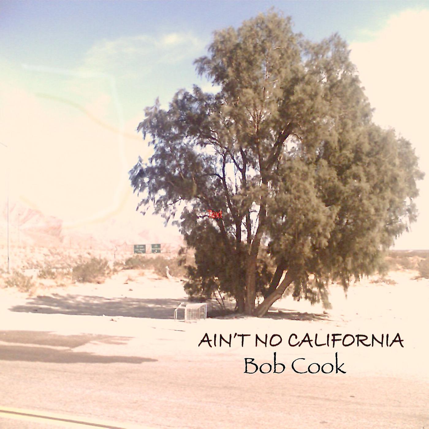 Постер альбома Ain't No California