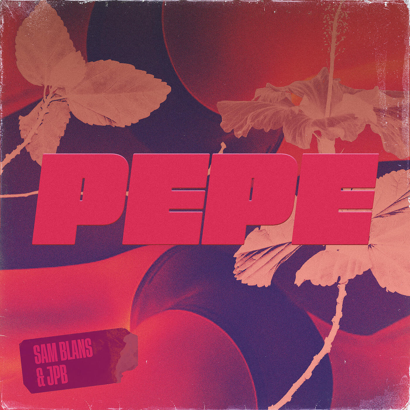 Sam Blans - Pepe