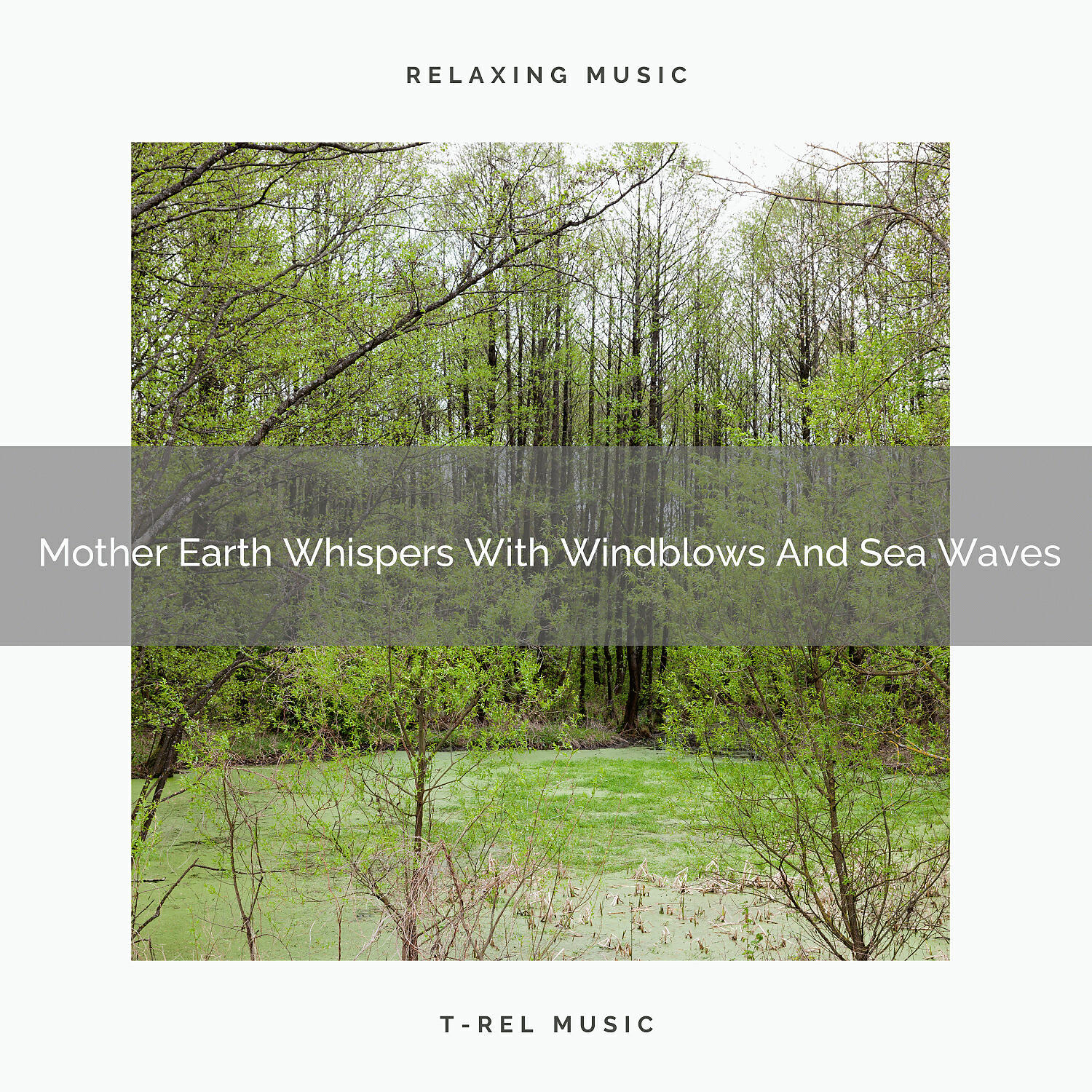 Nature Songs Nature Music - Mother Earth Sings With Sea Sounds And Ocean Waves