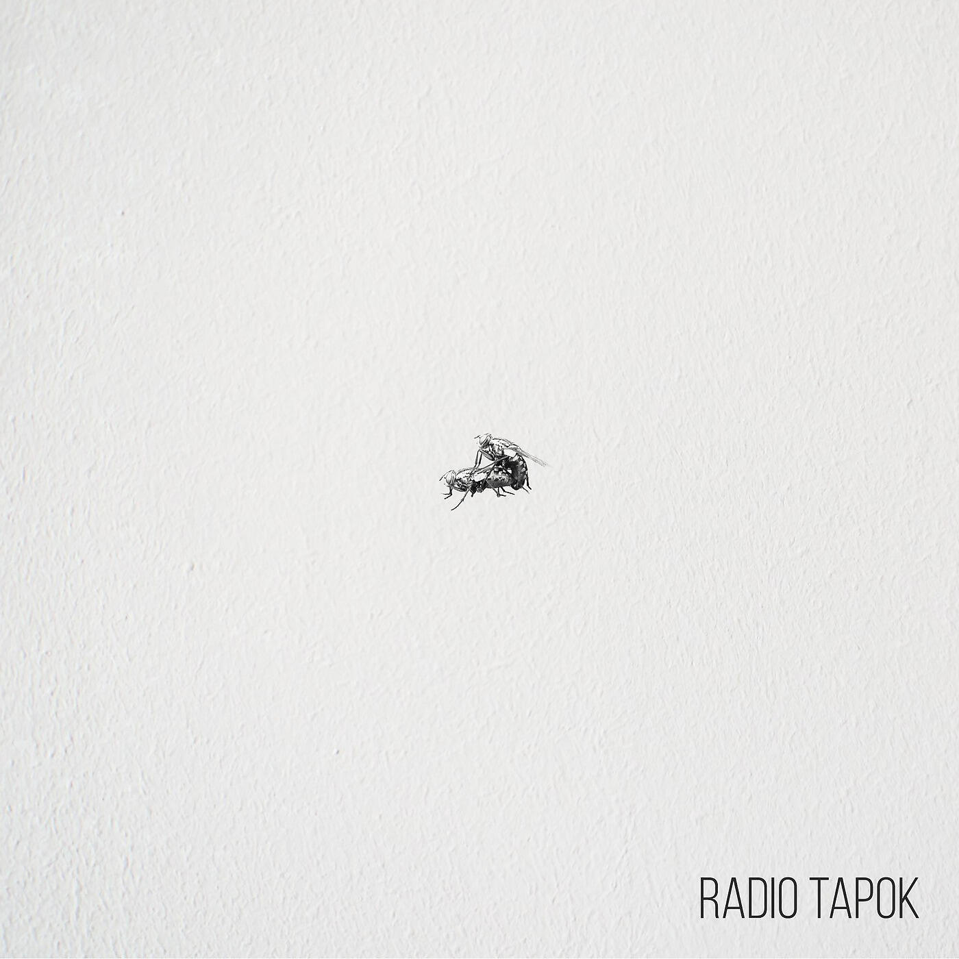 RADIO TAPOK - Настроение Лето