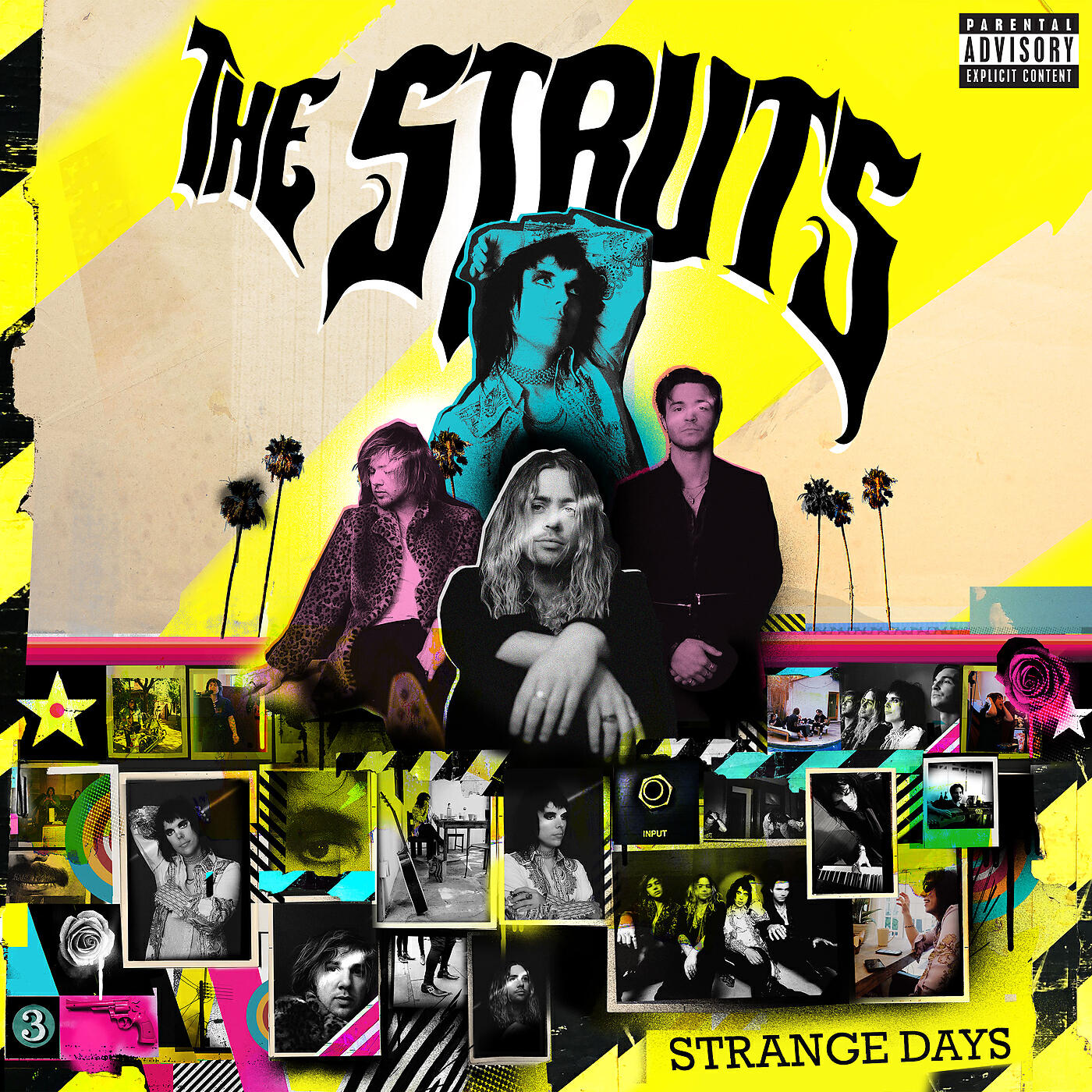 The Struts - Am I Talking To The Champagne (Or Talking To You)