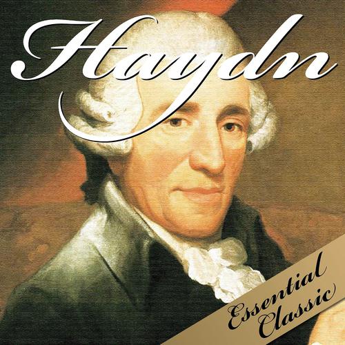 Постер альбома Haydn : Essential Classic