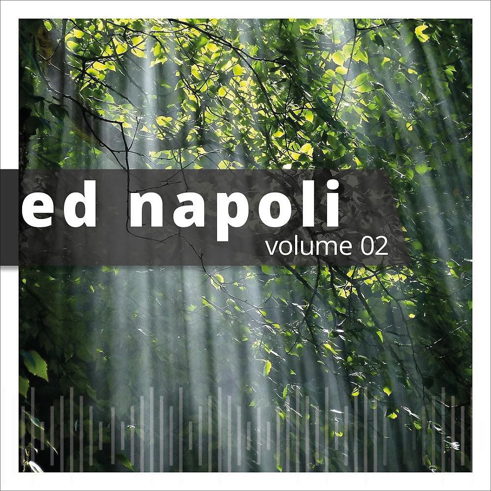 Постер альбома Ed Napoli, Vol. 2