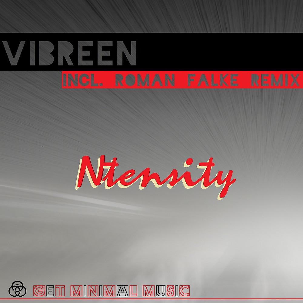 Постер альбома Ntensity (Incl. Roman Falke Remix)