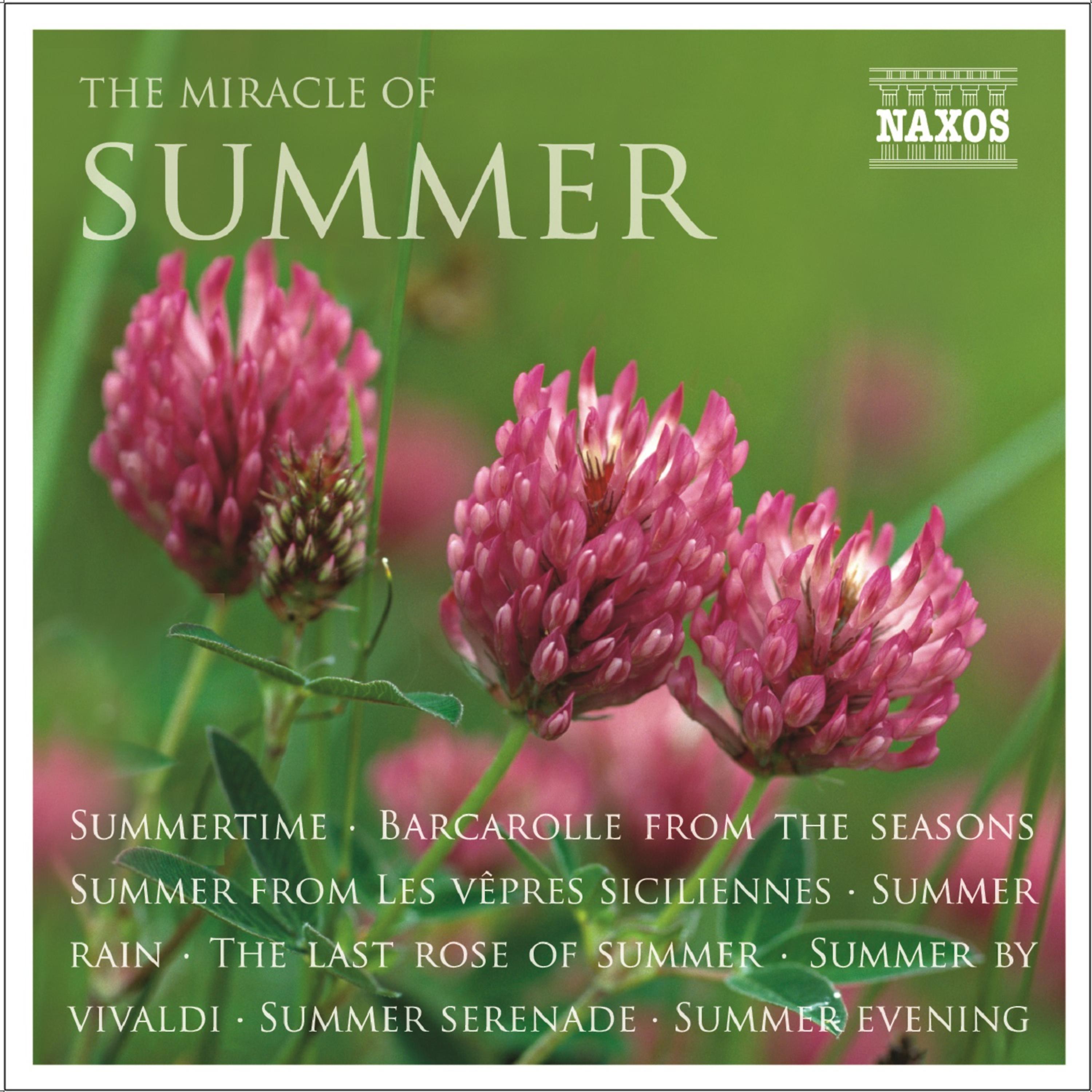 Постер альбома The Miracle of Summer