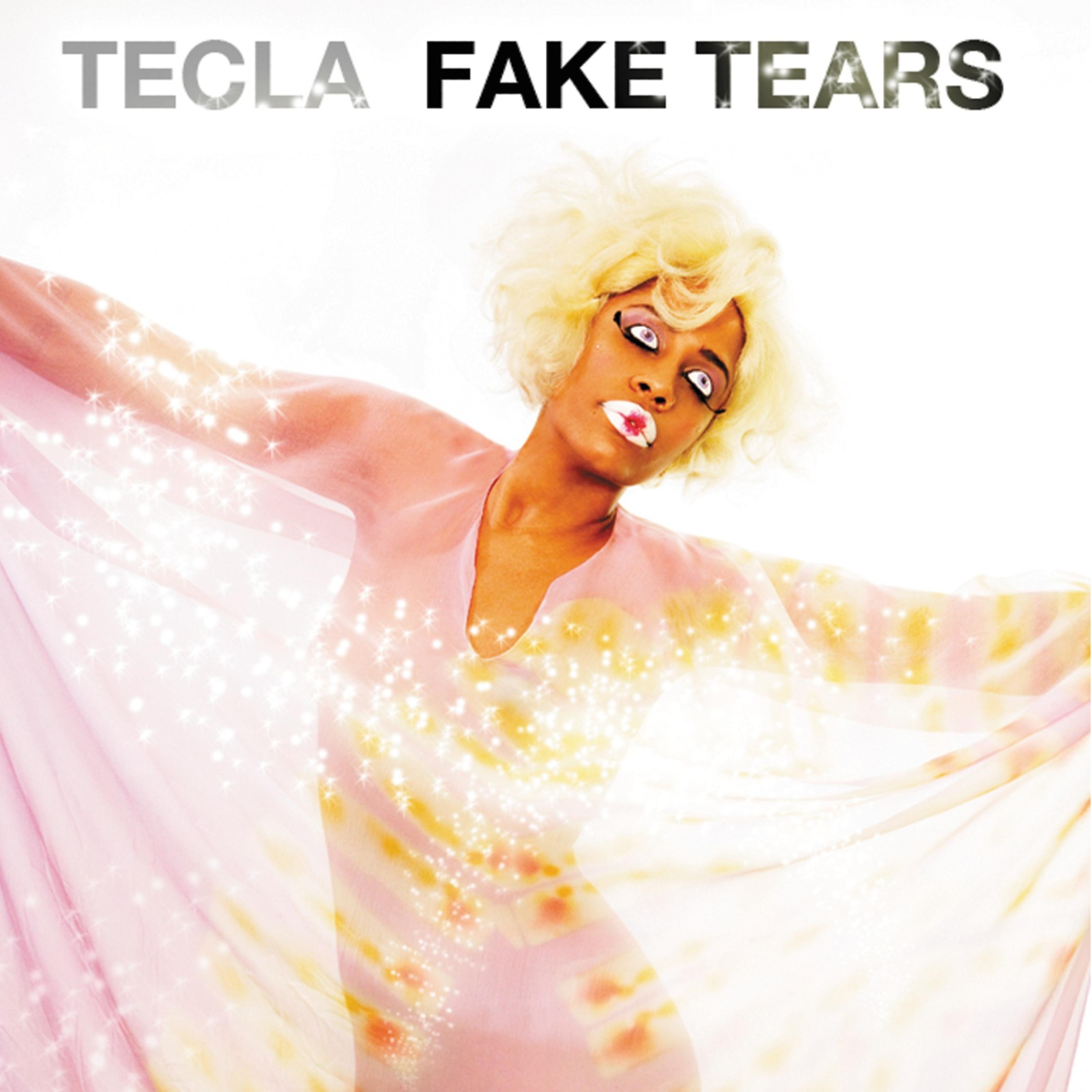 Постер альбома Fake Tears