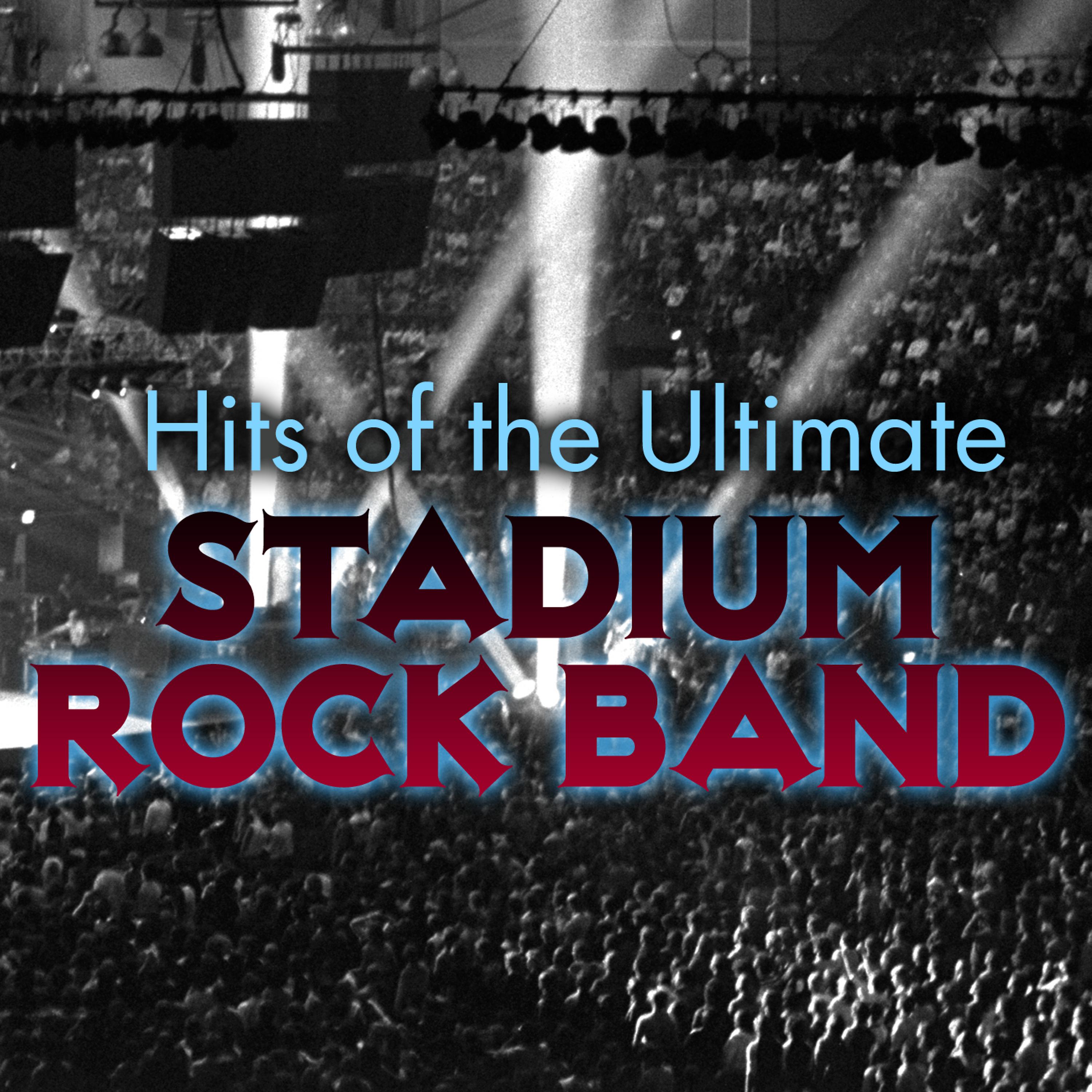 Постер альбома Hits of the Ultimate Stadium Rock Band