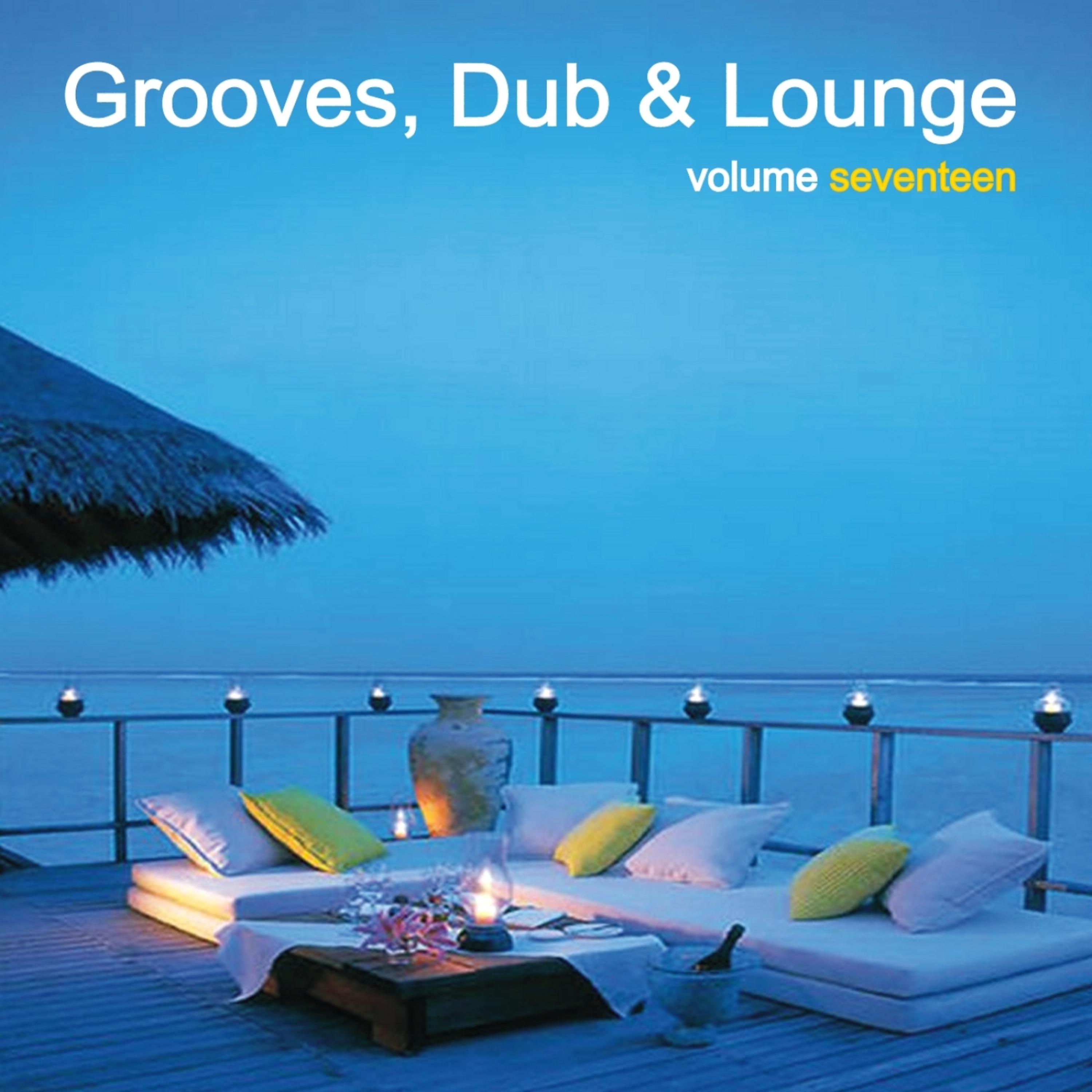 Постер альбома Grooves, Dub & Lounge Vol. 17