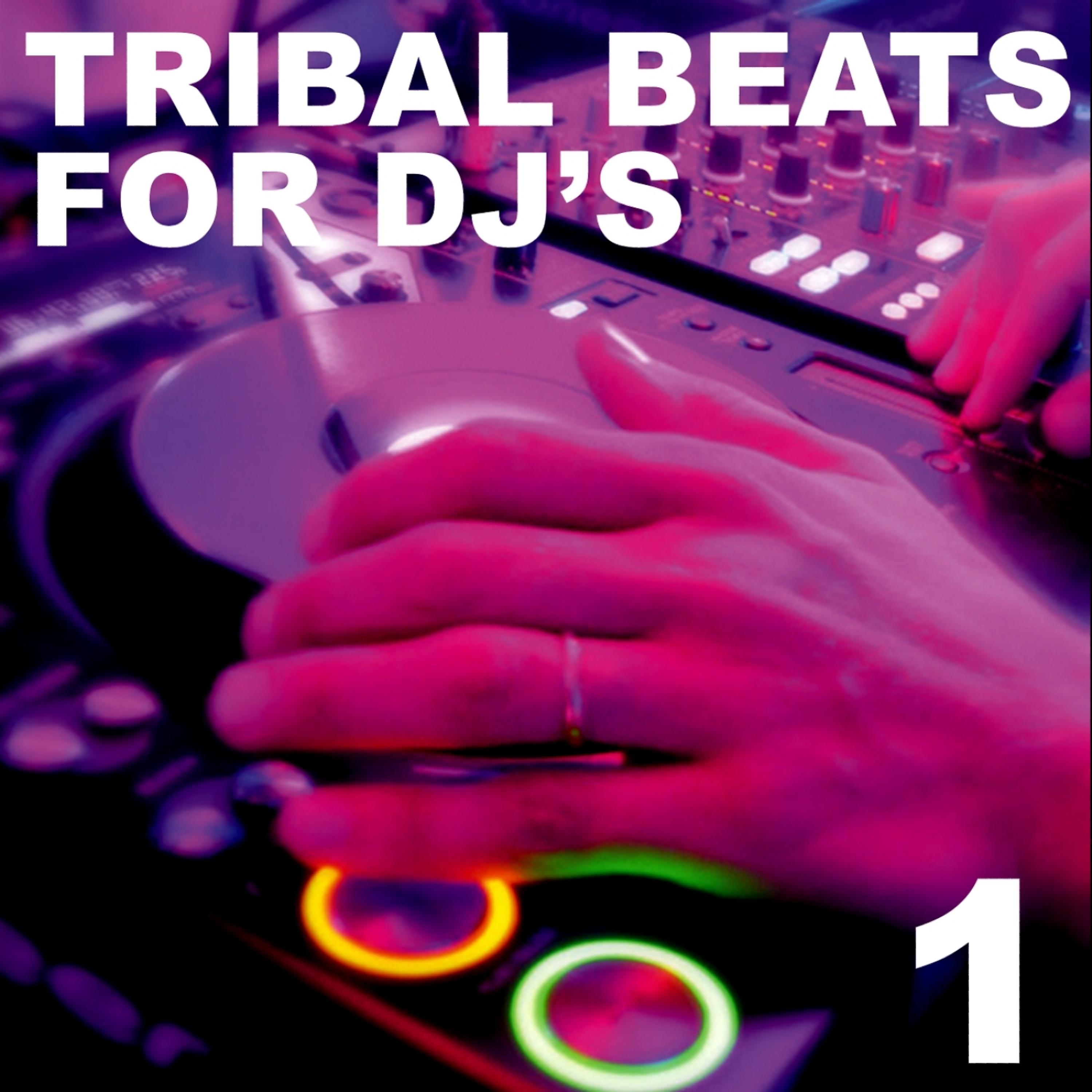 Постер альбома Tribal Beats for DJ's - Vol. 1