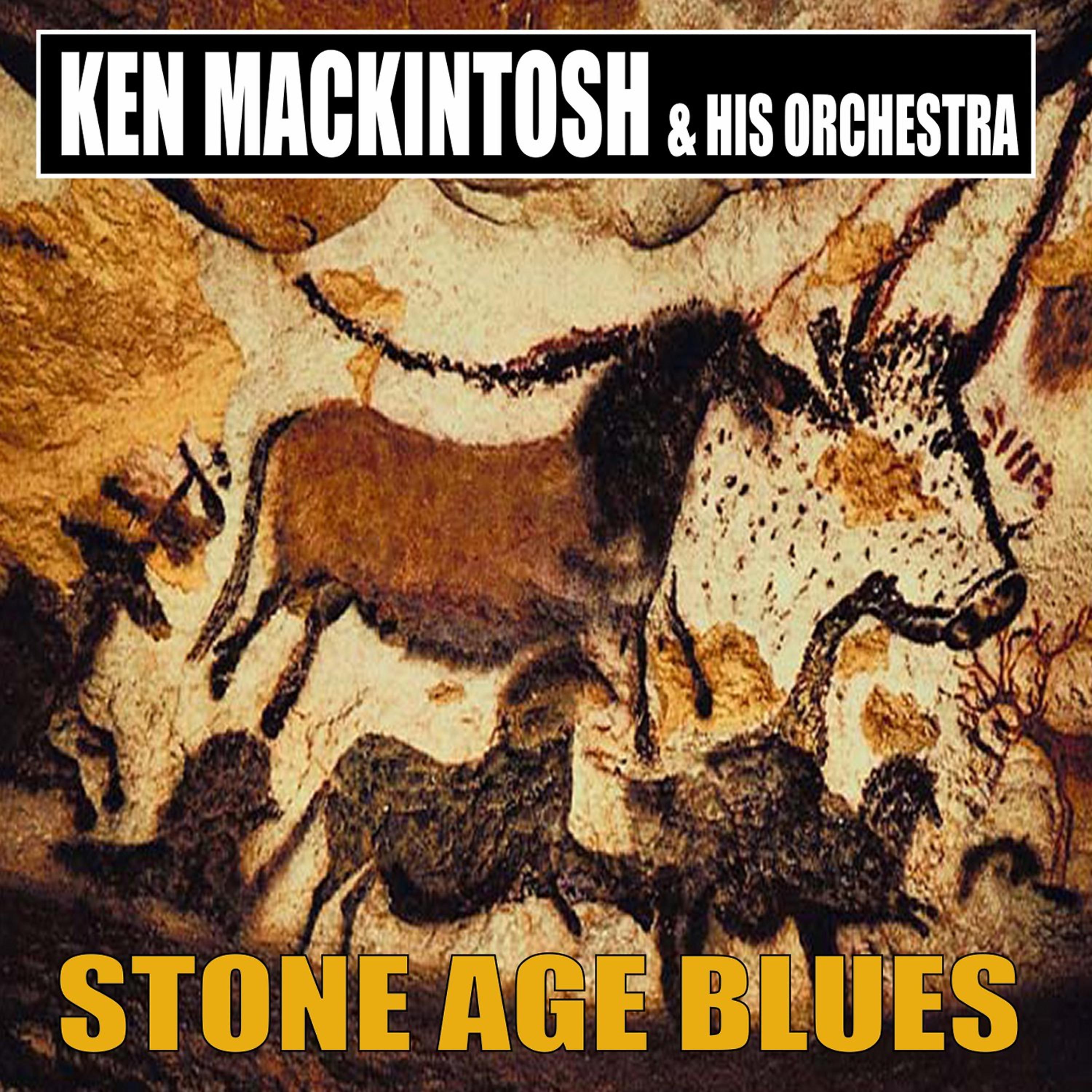 Постер альбома Stone Age Blues