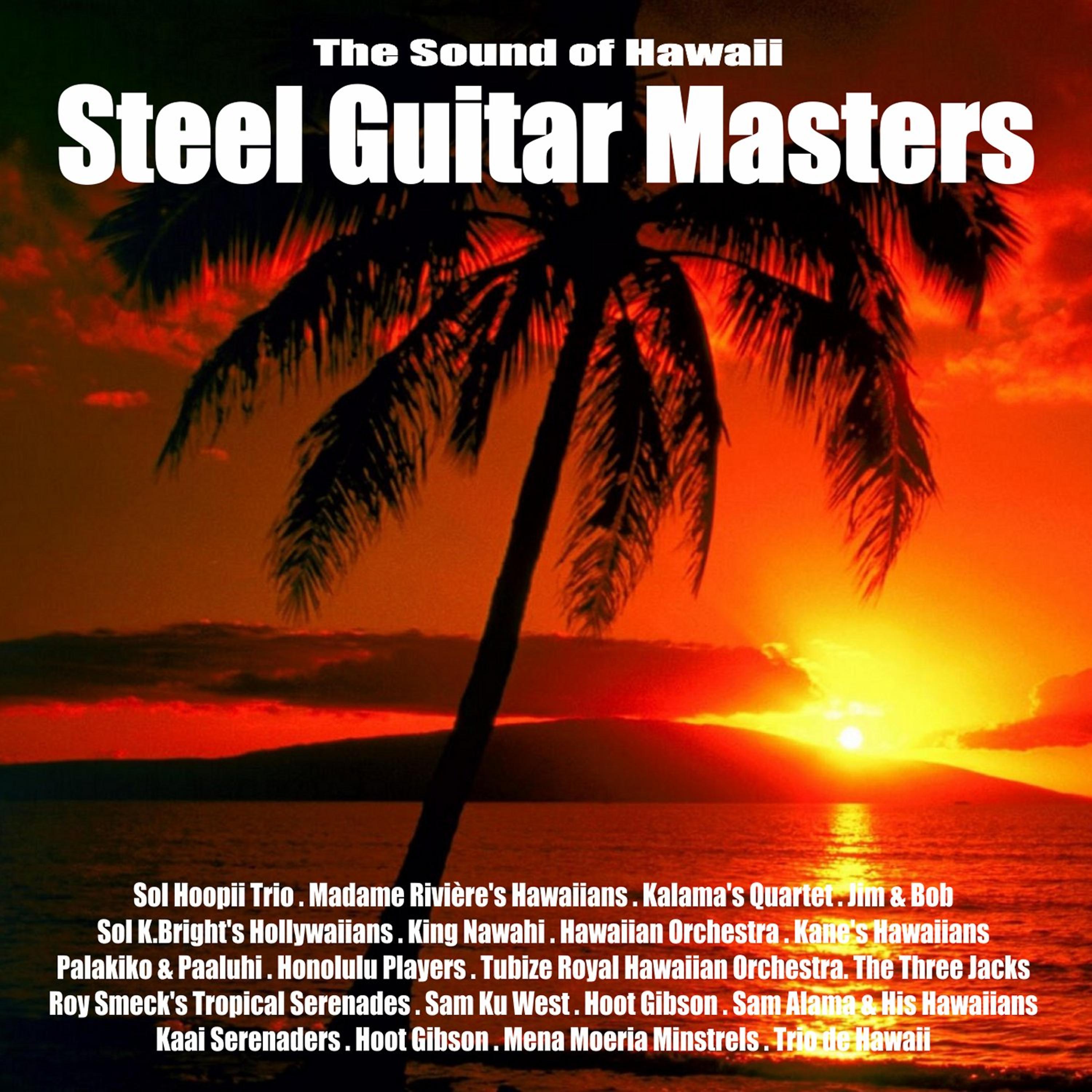 Постер альбома Steel Guitar Masters