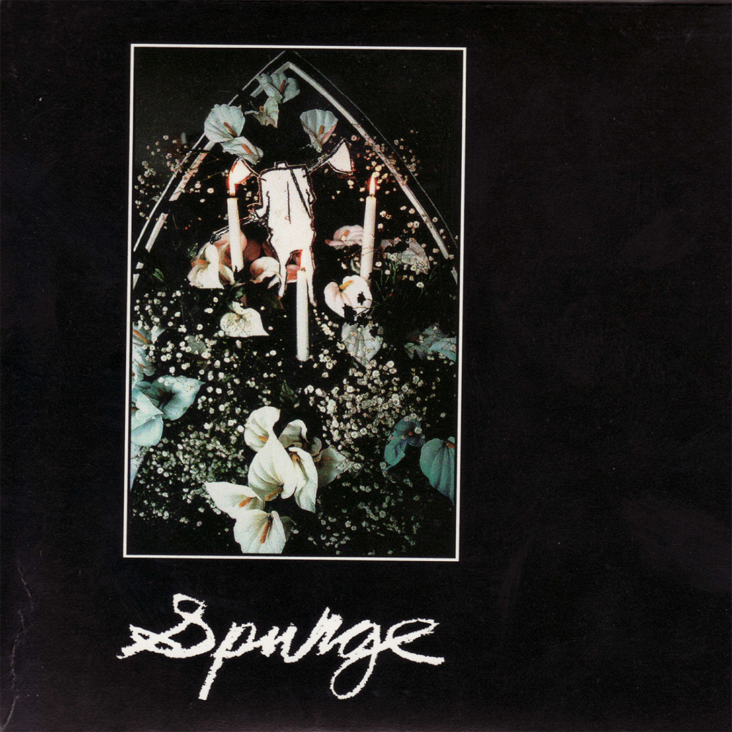 Spurge - Untitled Transition 3