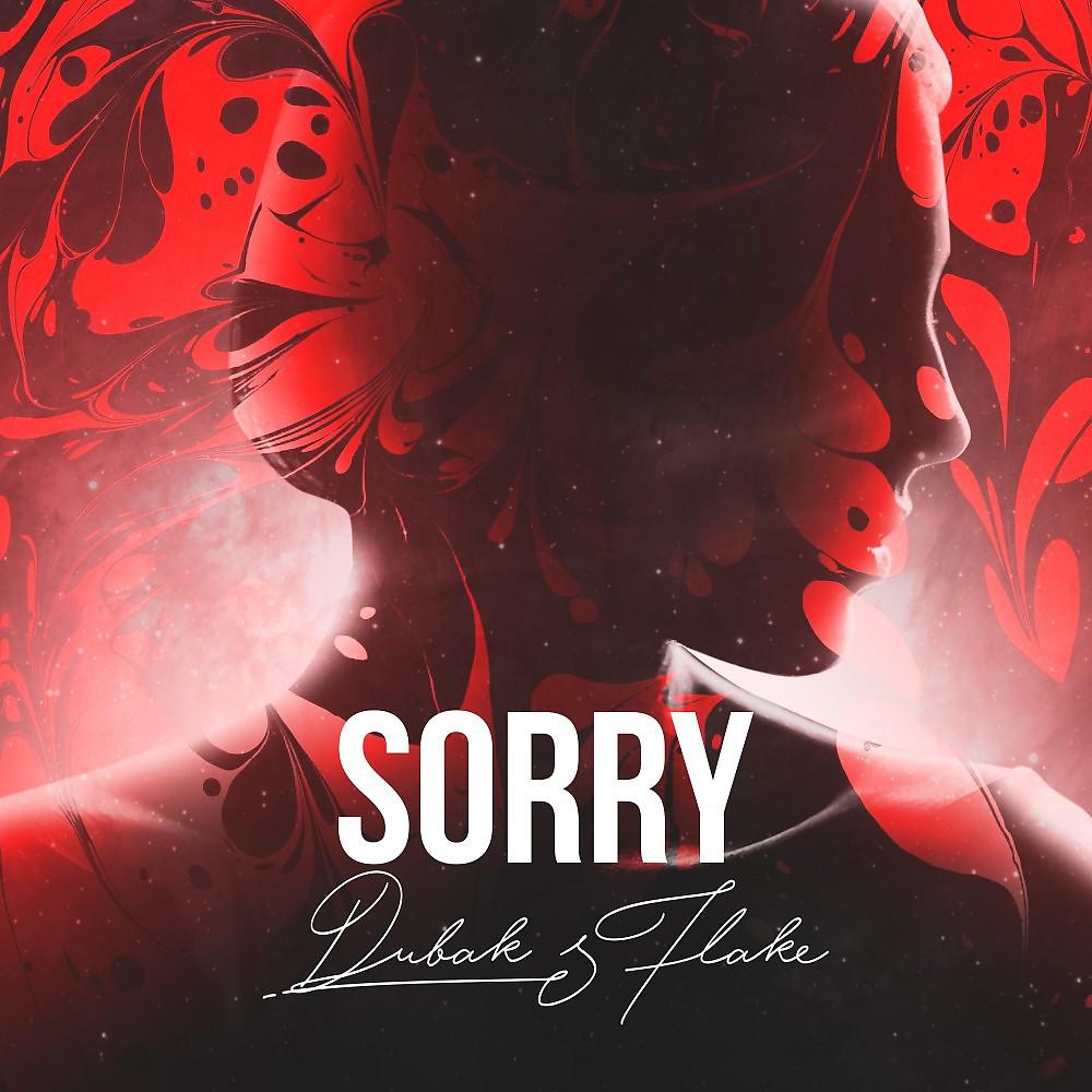 Постер альбома Sorry (Prod. By Flake)