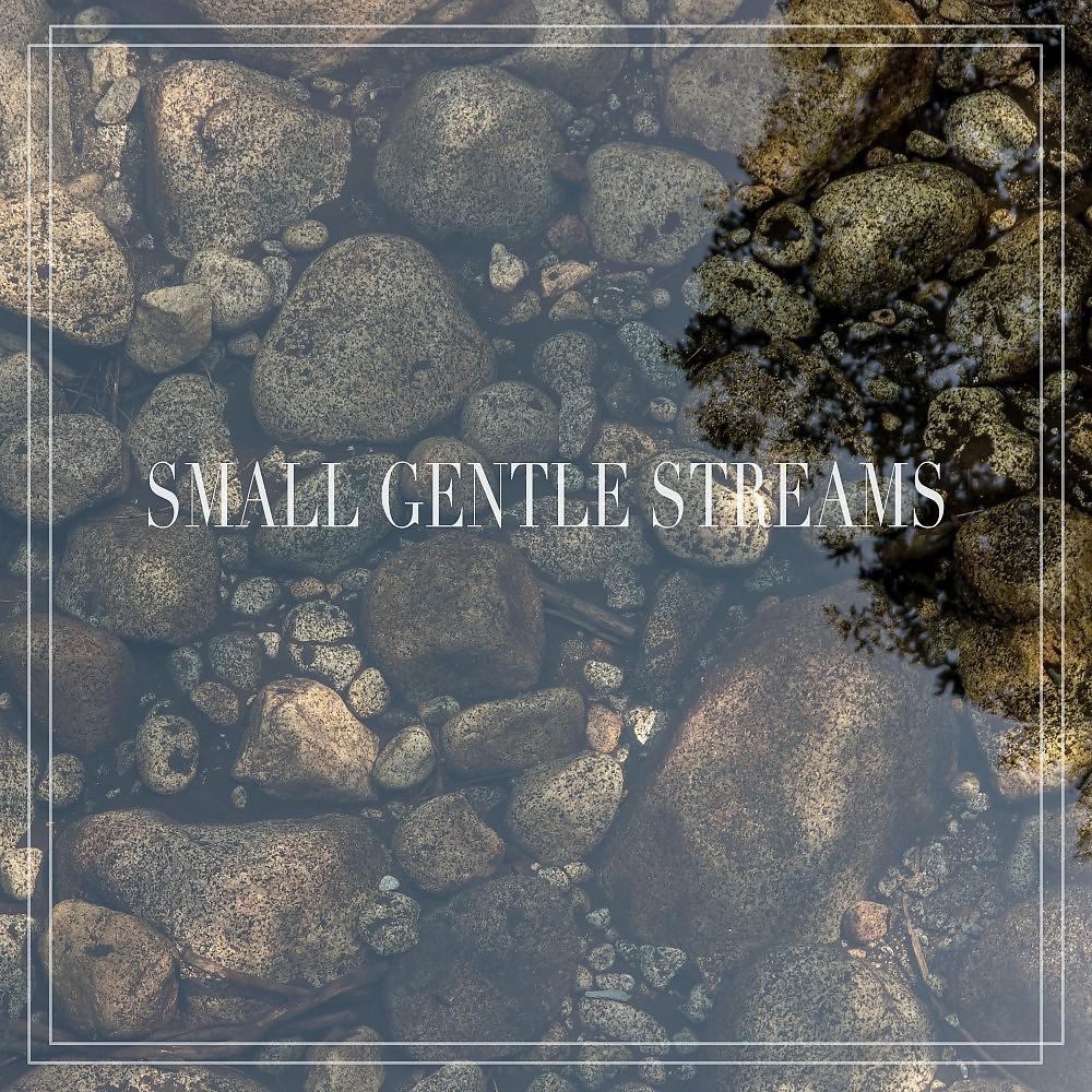 Постер альбома Small Gentle Streams