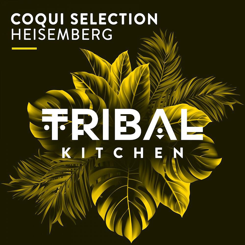 Coqui Selection - Heisemberg (Original Mix)