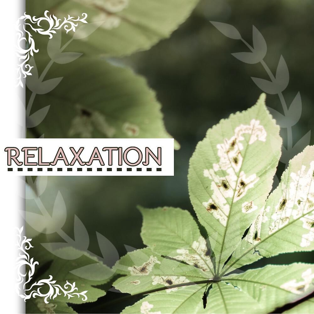 Dormir Mucho - Relajacion (Original Mix)