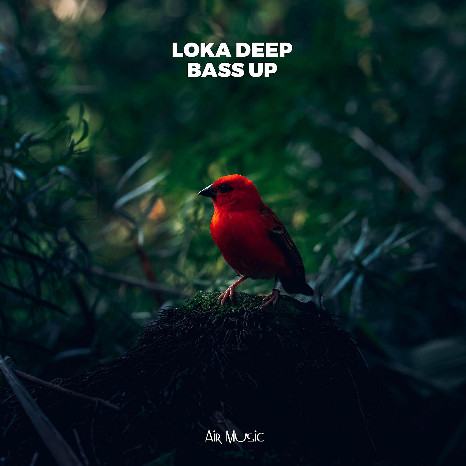 Loka Deep - Night in Miami