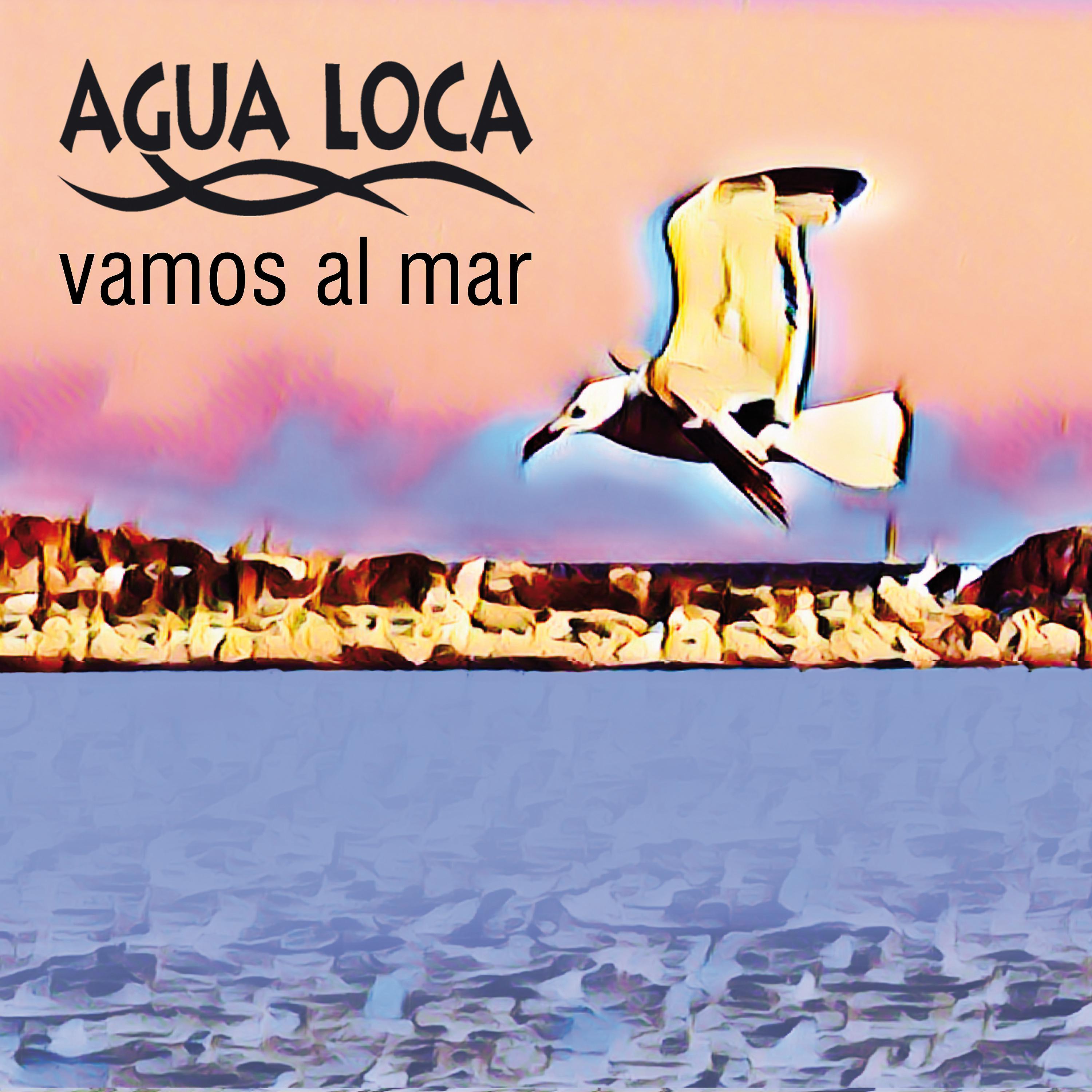 Постер альбома Vamos al Mar