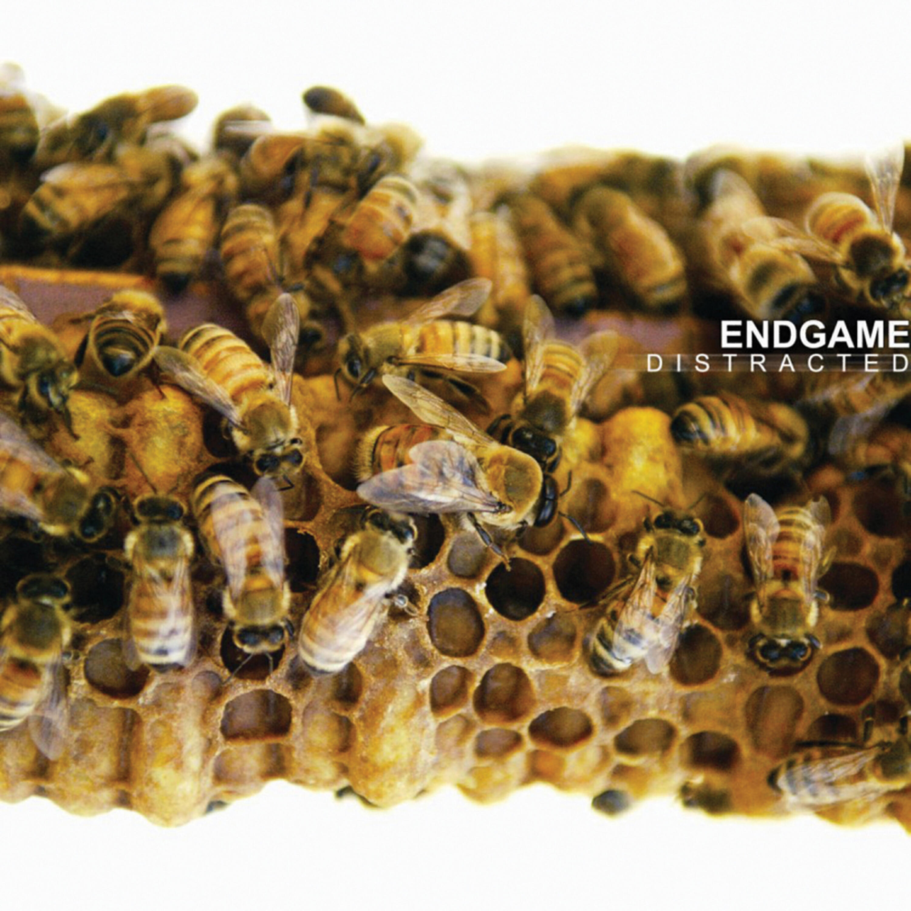 Endgame - Hide And Speak