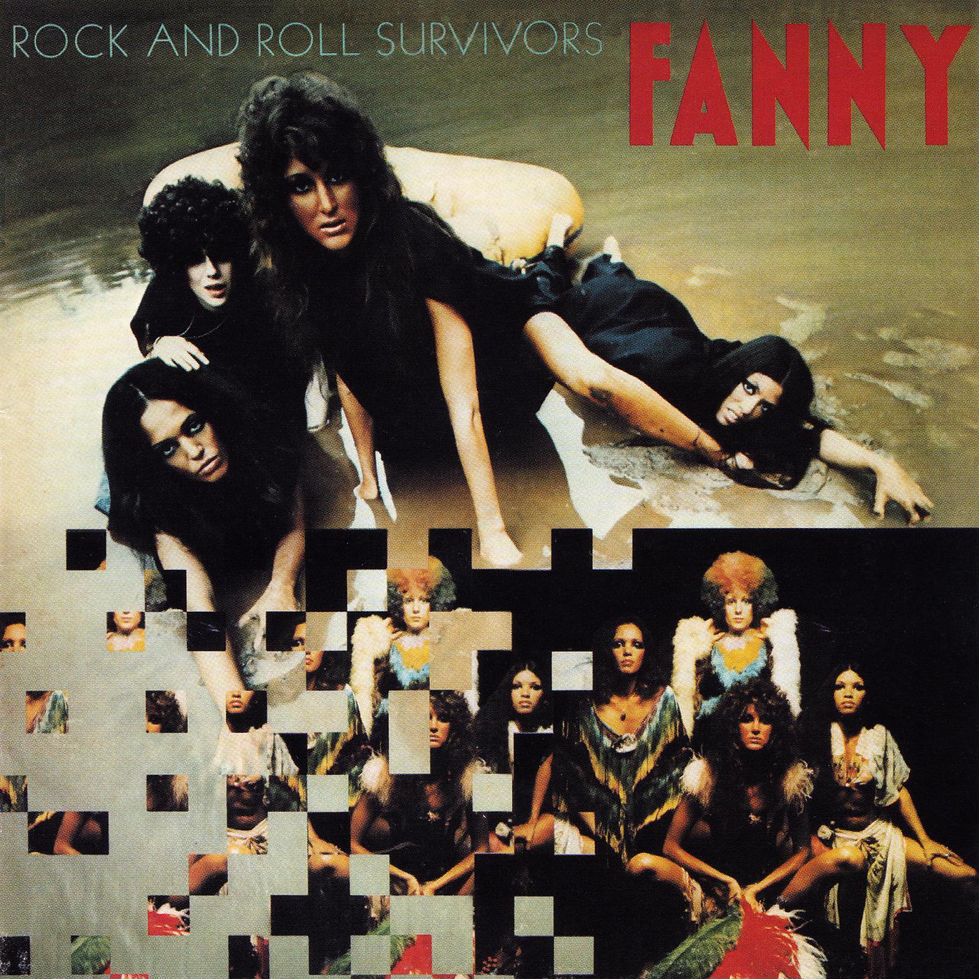 Постер альбома Rock And Roll Survivors