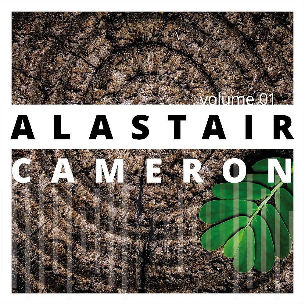 Alastair Cameron - Minimalism in 5