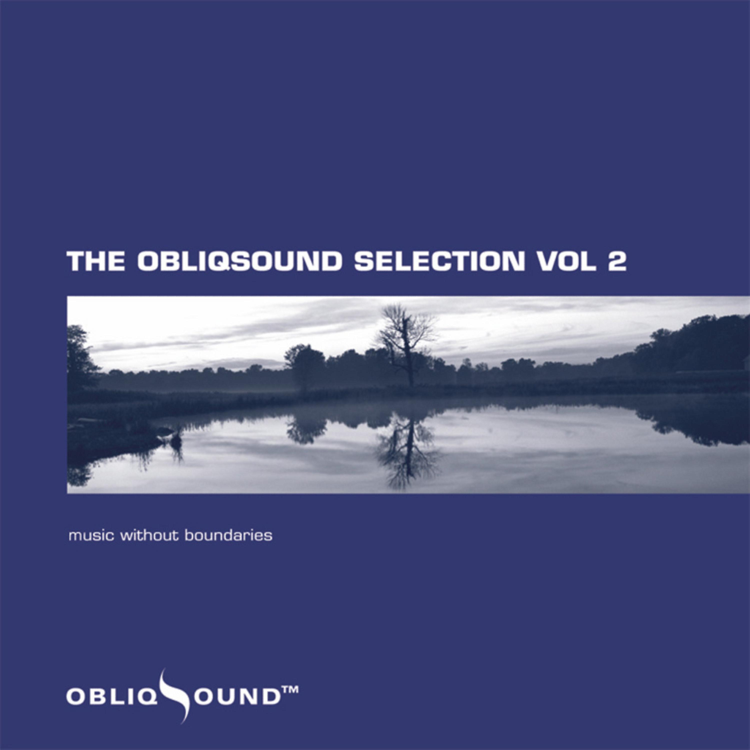 Постер альбома The ObliqSound Selection Volume 2