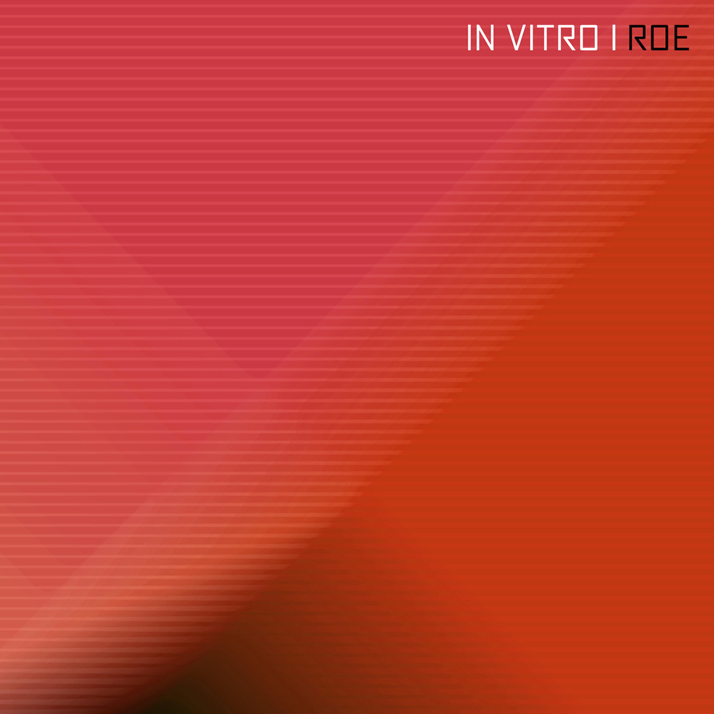 ROE - Code Name