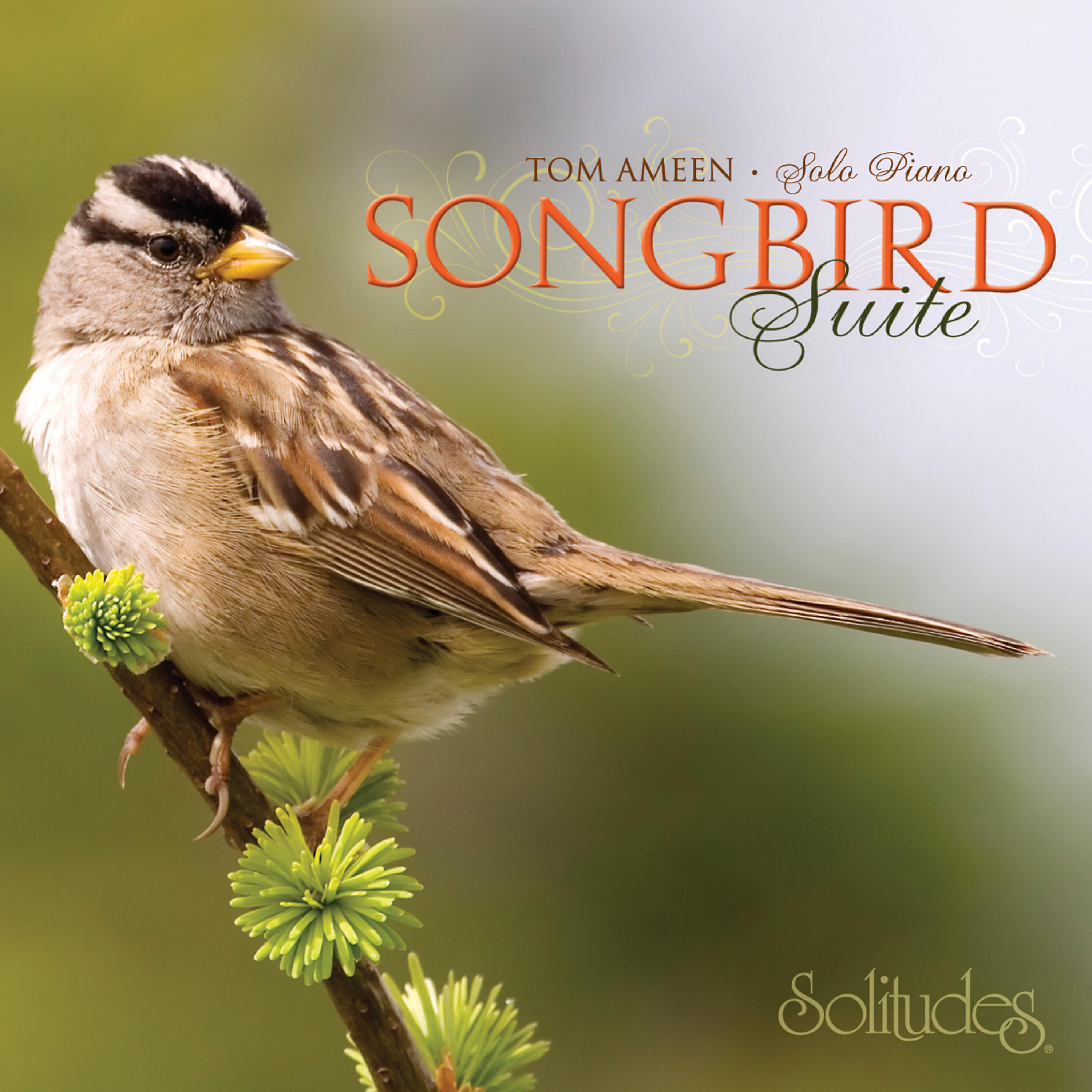Dan Gibson's Solitudes - Sunset Serenade