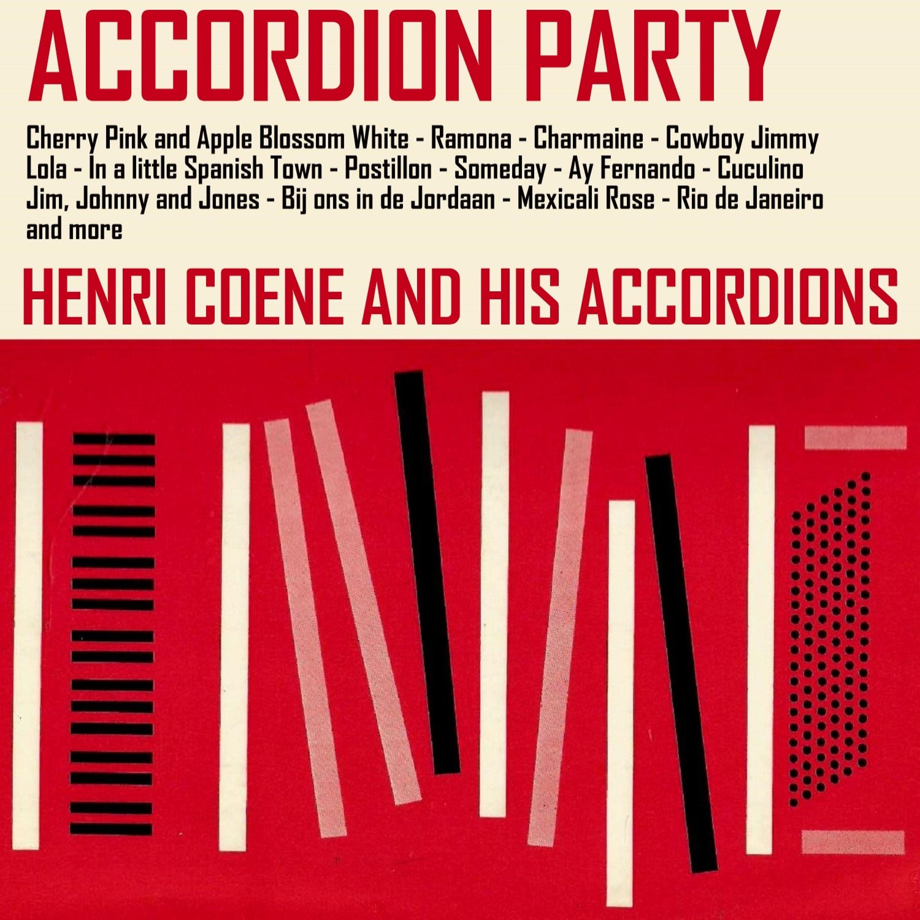 Постер альбома Accordion Party