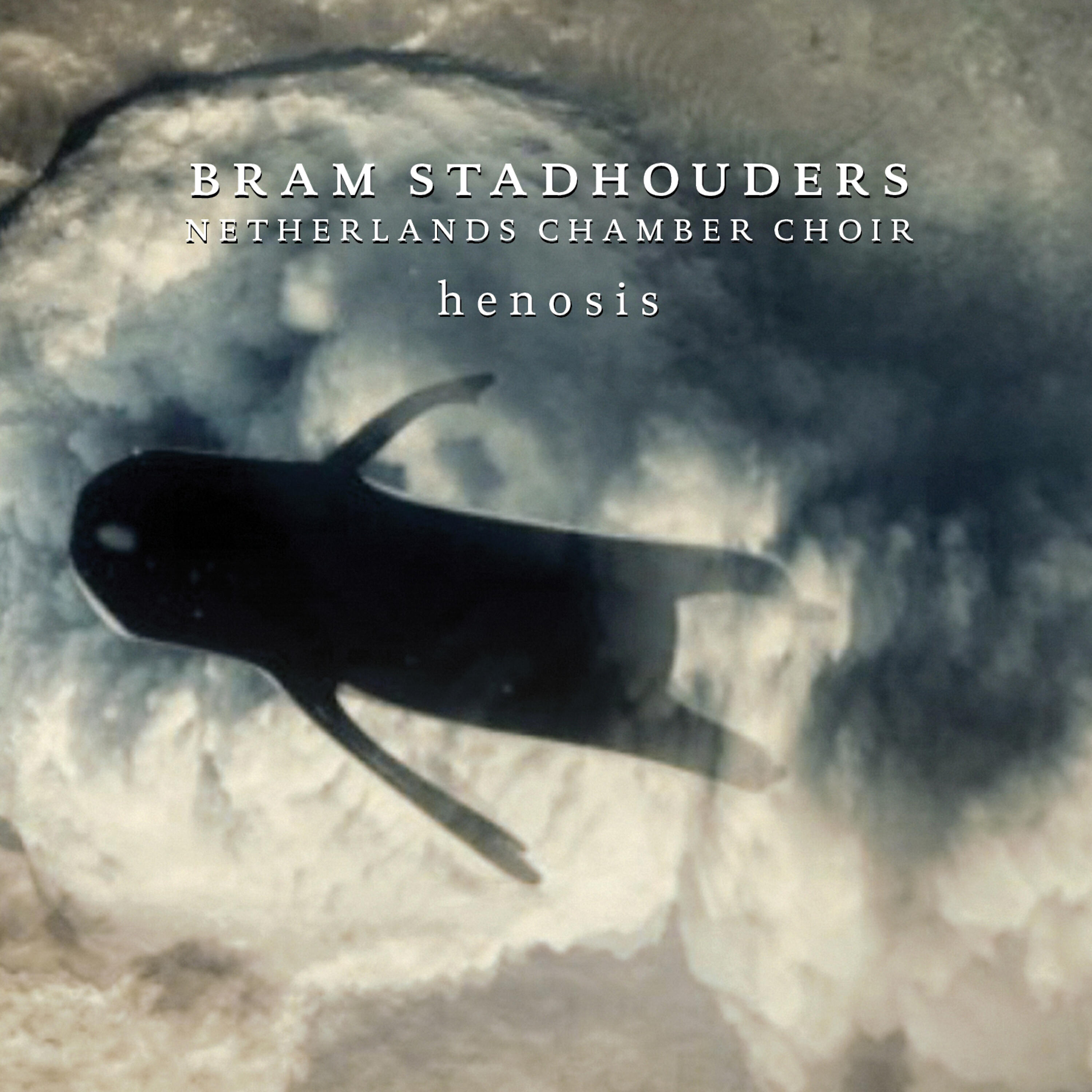 Bram Stadhouders - Heraldorr