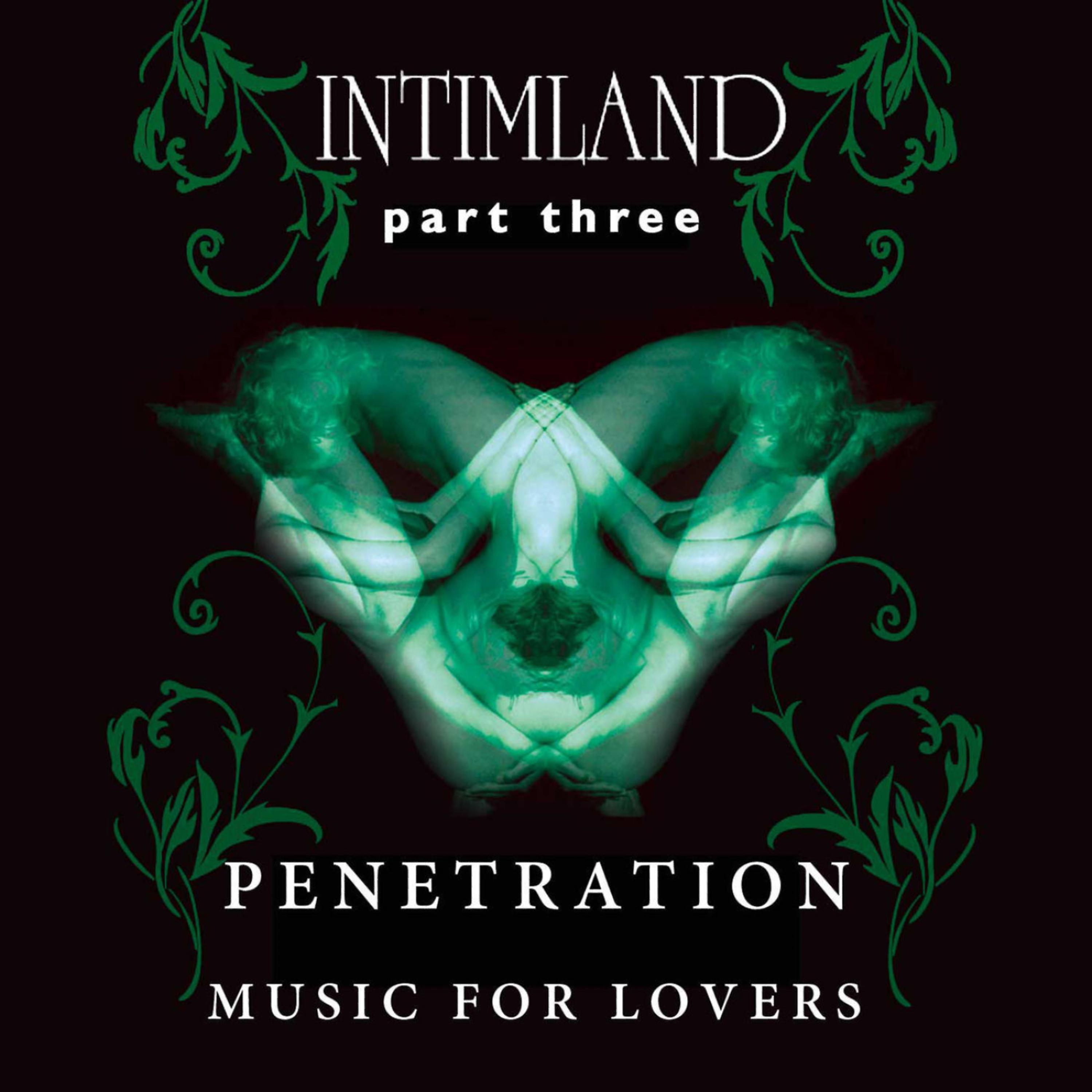 Постер альбома Intimland Part 3 - Penetration