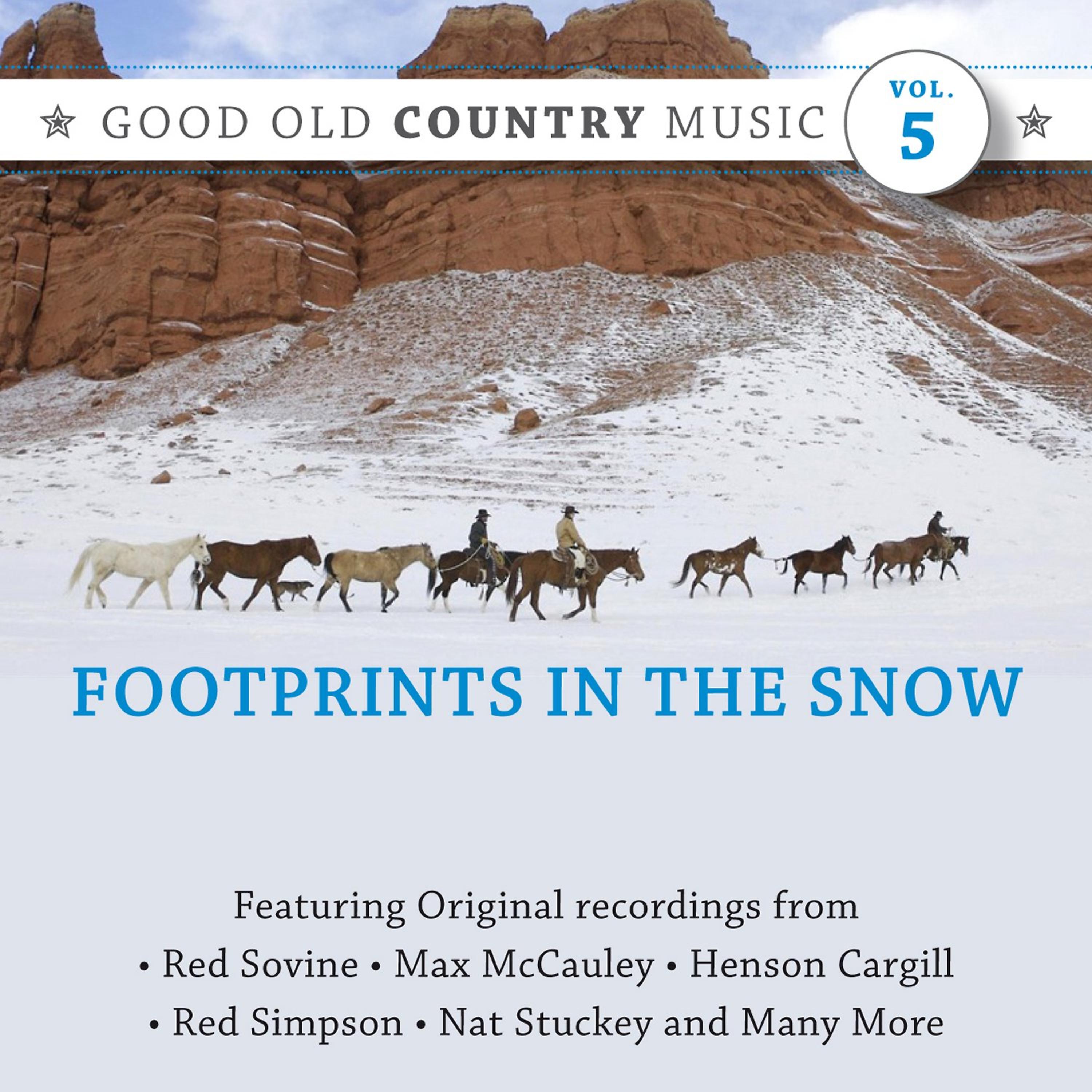 Постер альбома Footprints in the Snow: Good Old Country Music, Vol. 5