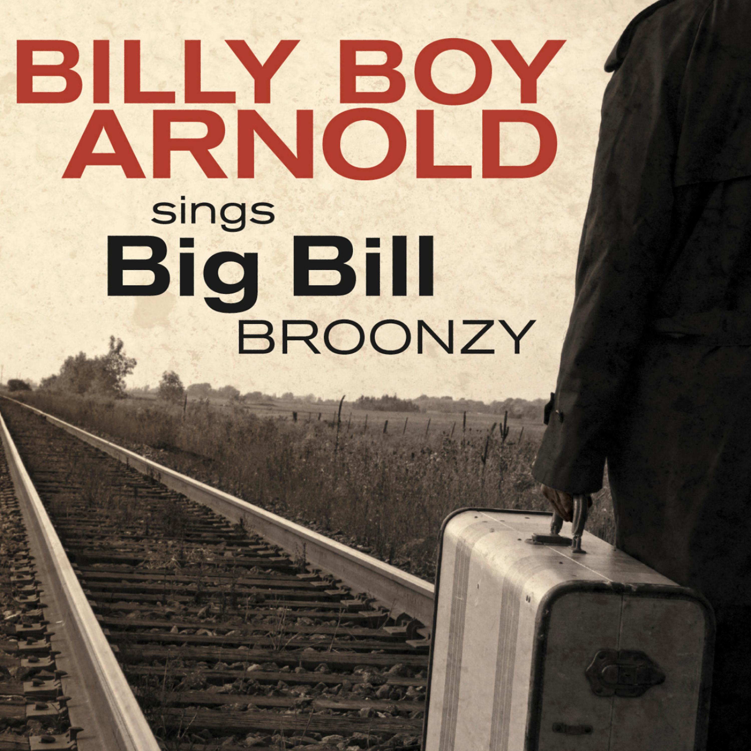 Постер альбома Billy Boy Arnold Sings: Big Bill Broonzy