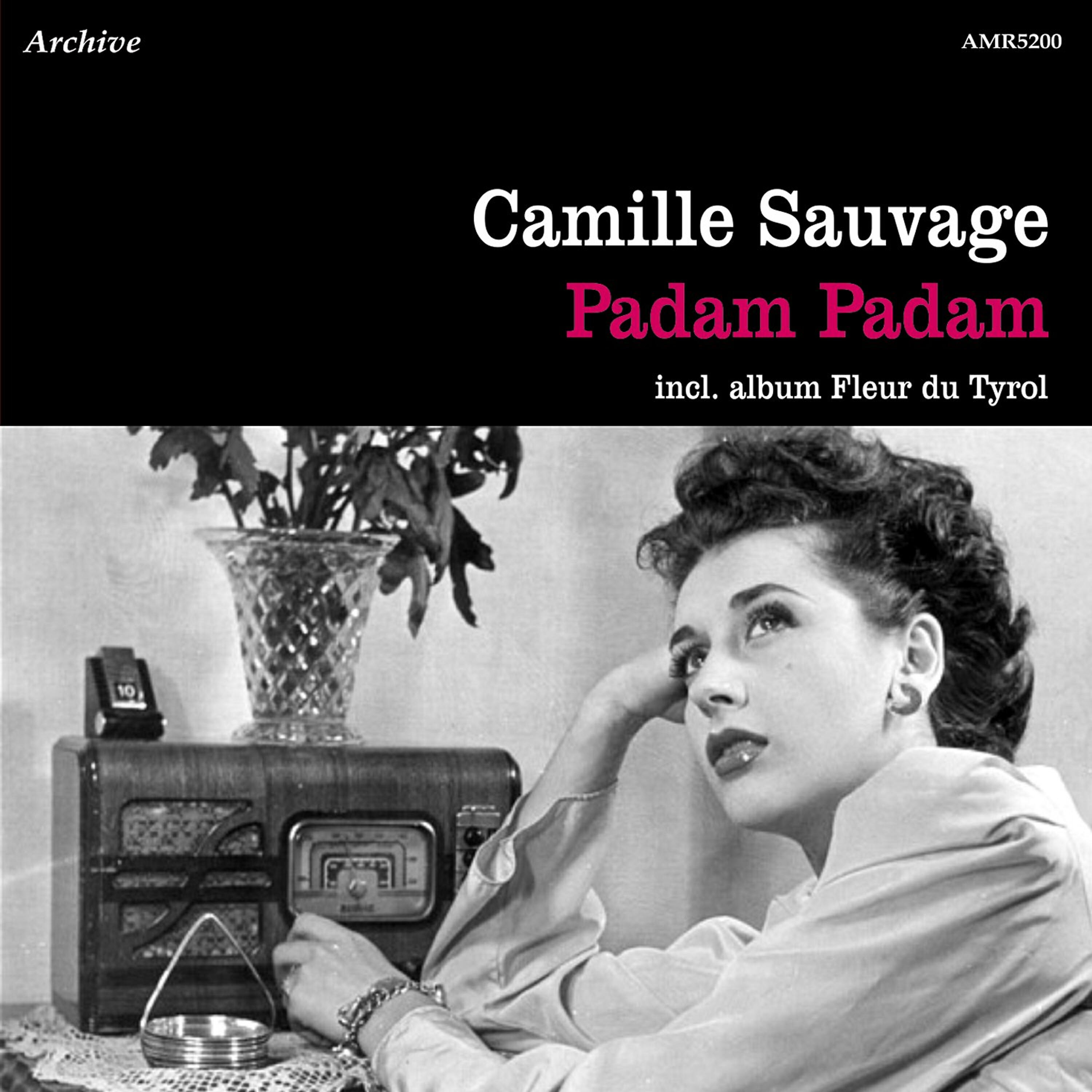 Camille Sauvage et son Orchestre - Veronica