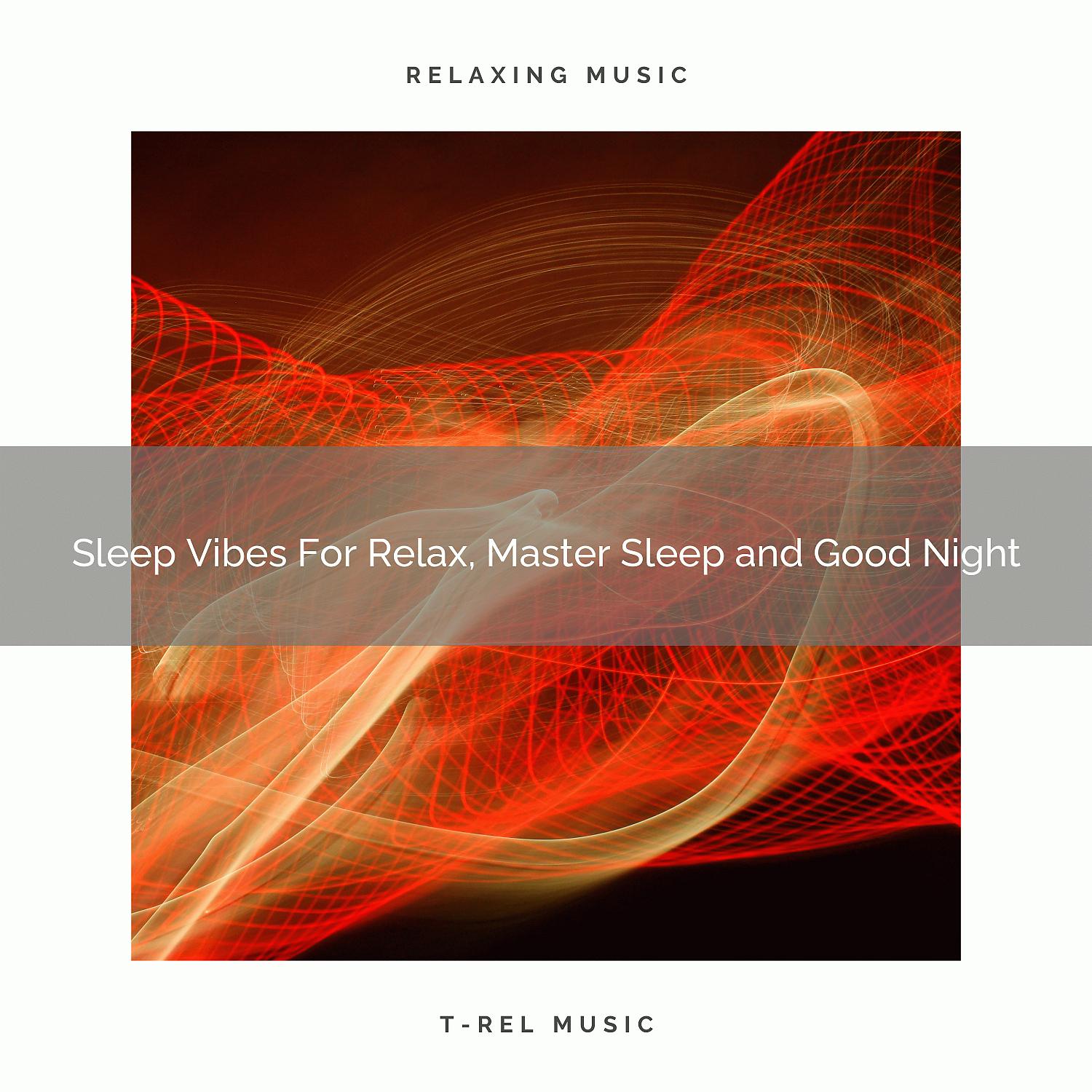 Постер альбома Sleep Vibes For Relax, Master Sleep and Good Night