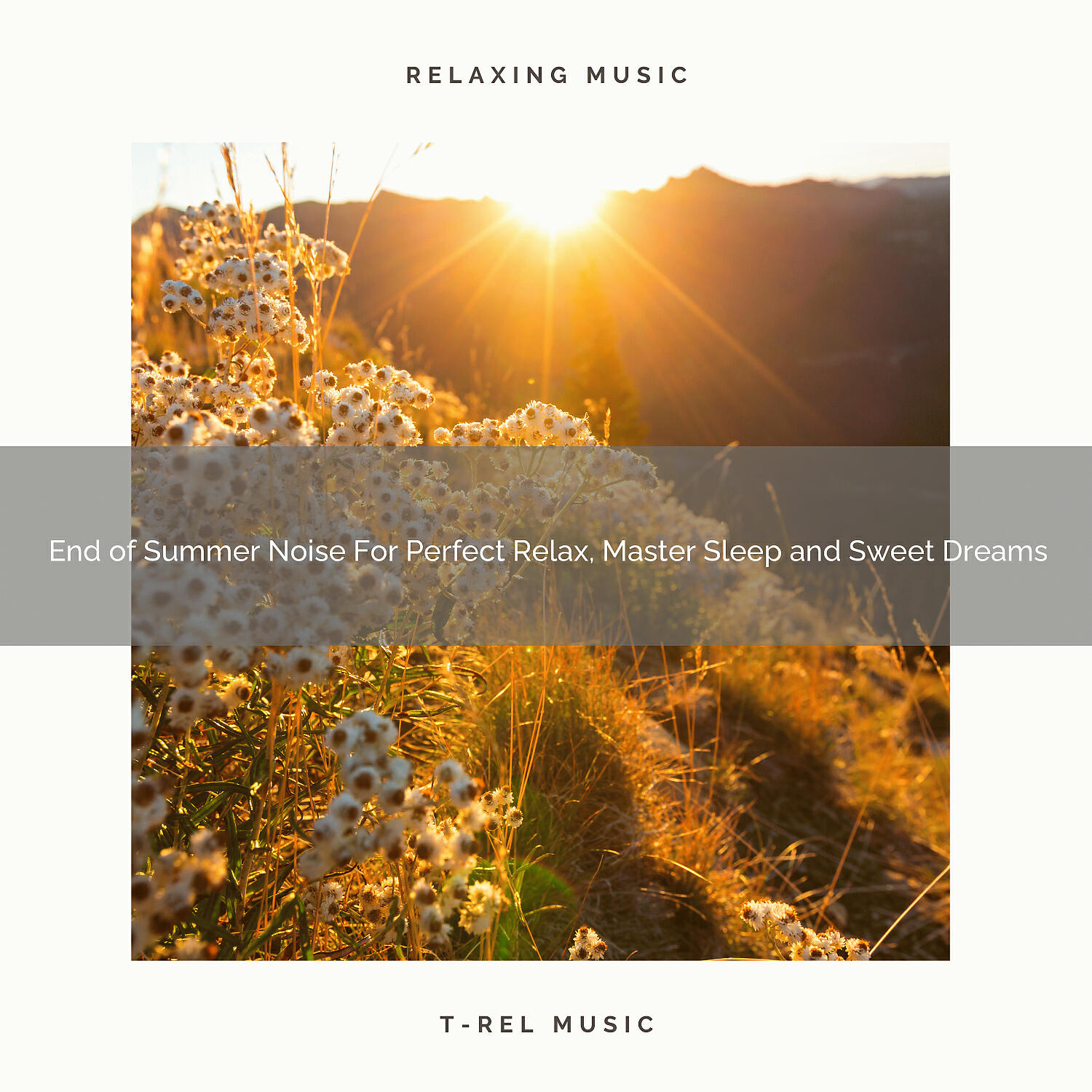 Beautiful Brown Noise - Autumn Sleep Tunes For Total Relax, Deep Sleep