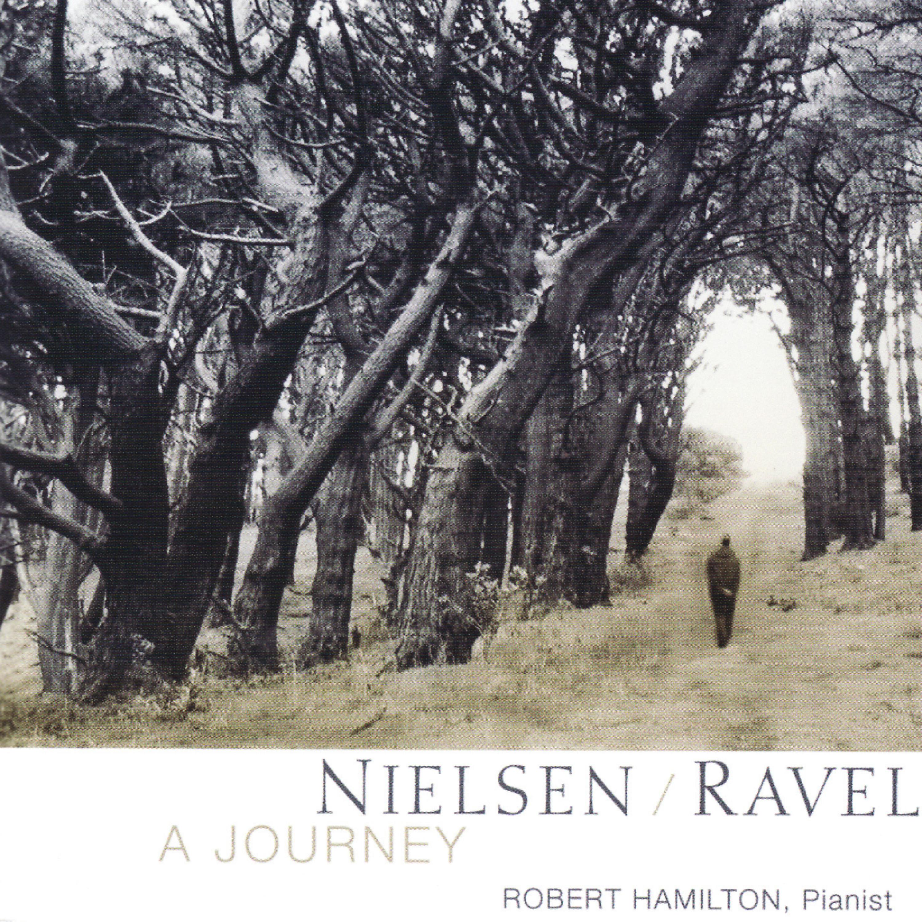 Постер альбома Nielsen & Ravel - A Journey
