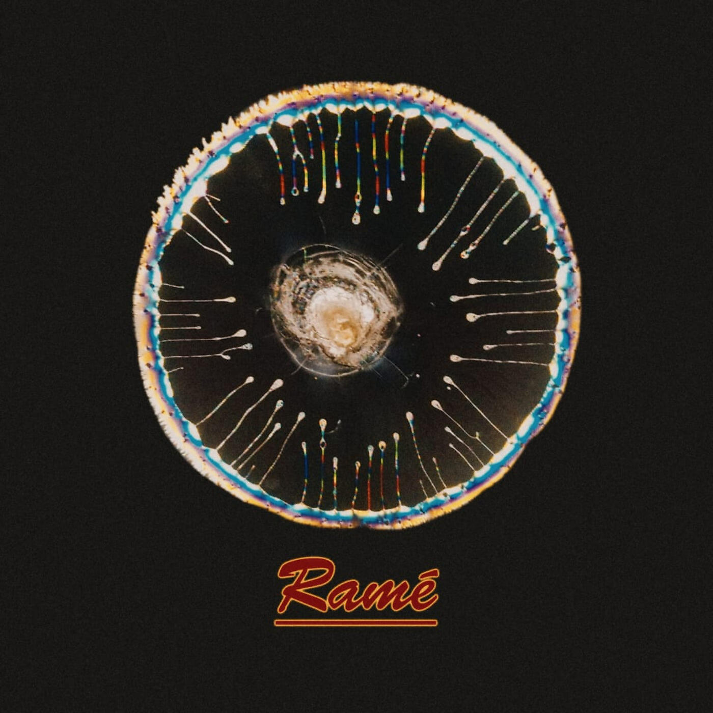 Cedro - Algo Mejor