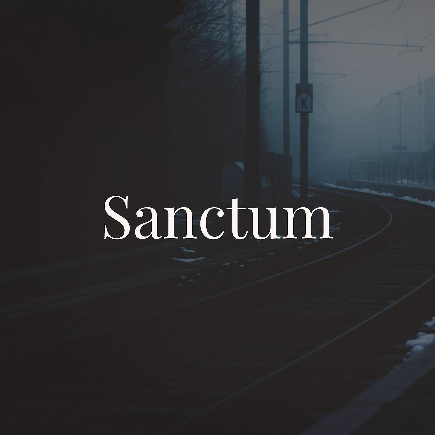 Постер альбома Sanctum