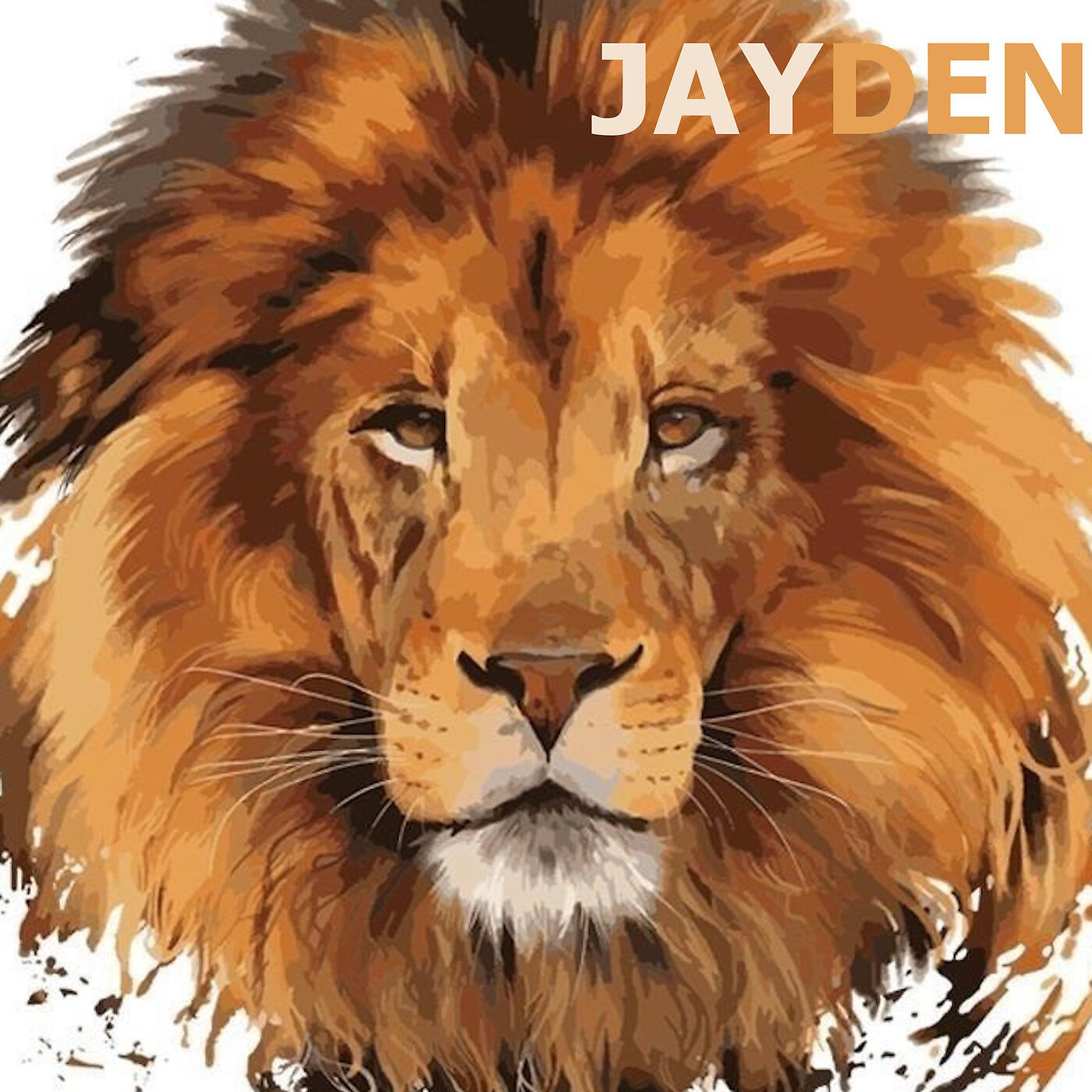JAYDEN - Sidereal Rings