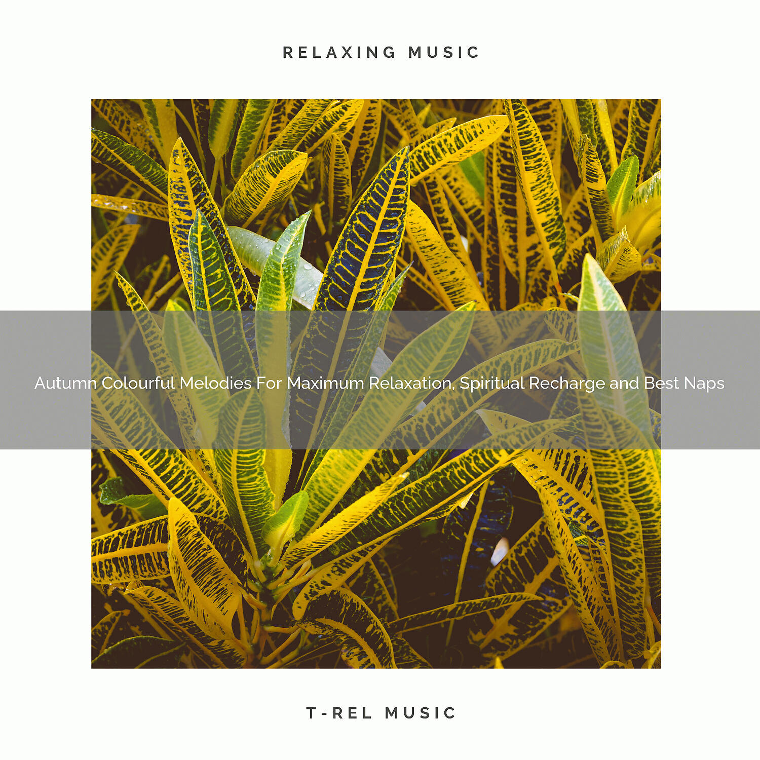 White Noise Meditation - Autumn Chillout Melodies For Perfect Relax, Deep Sleep and Sweet Dreams