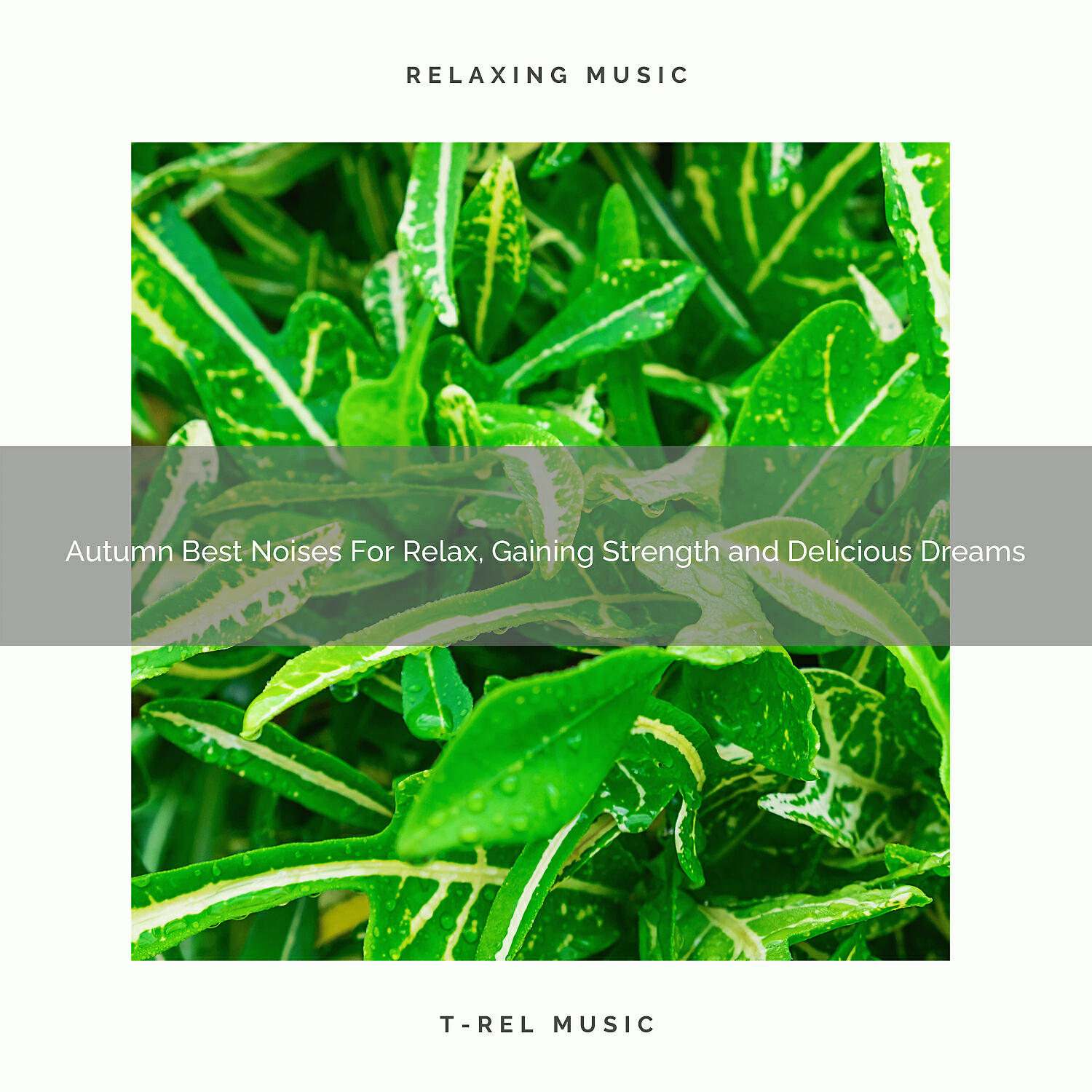 White Noise Meditation - Autumn Best Noises For Relax, Gaining Strength and Delicious Dreams