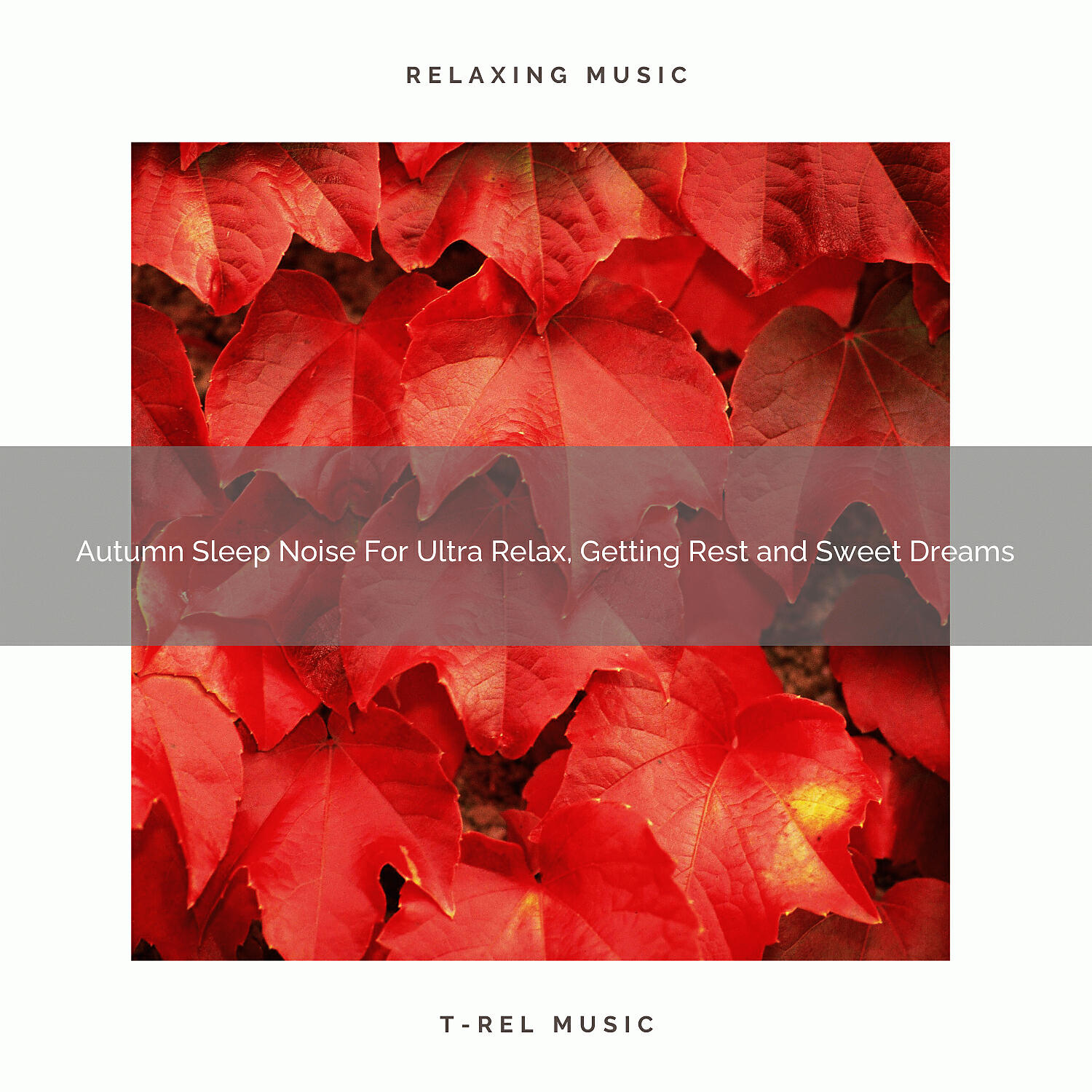 White Noise Meditation - Autumn Sleep Noise For Ultra Relax, Getting Rest and Sweet Dreams