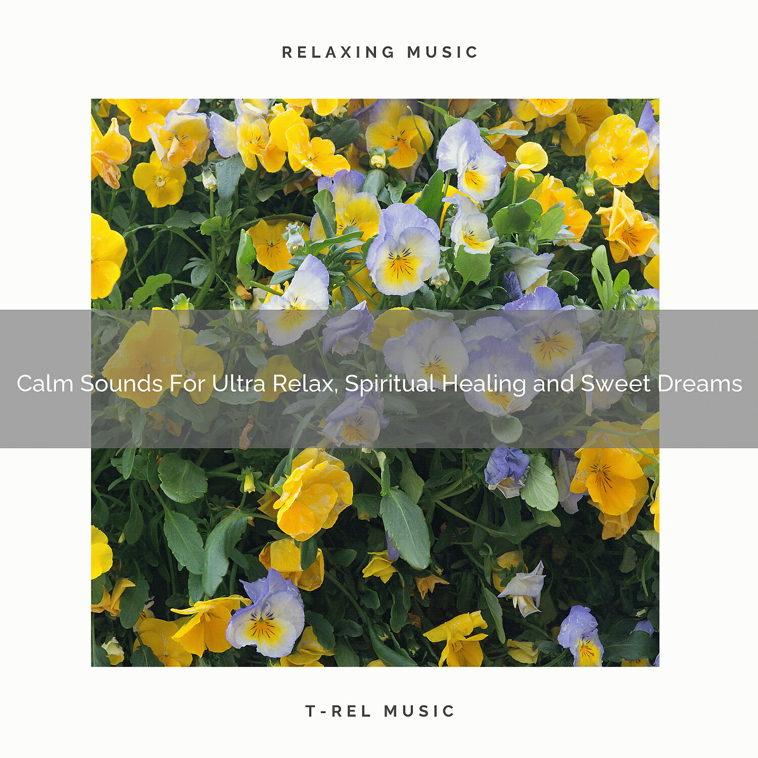 White Noise Meditation - Autumn Best Tunes For Total Relax, Spiritual Recharge and Good Night