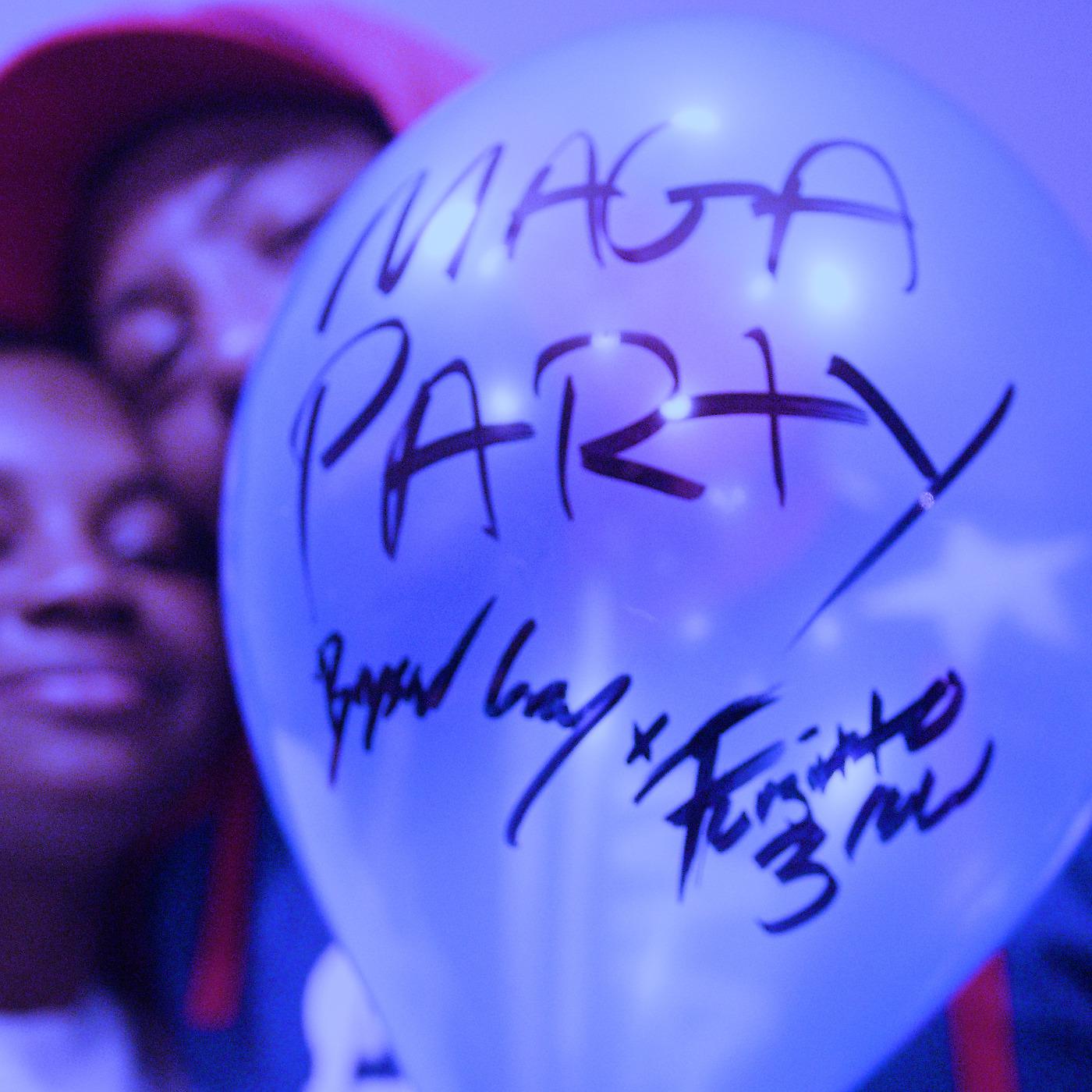 Постер альбома Maga Party