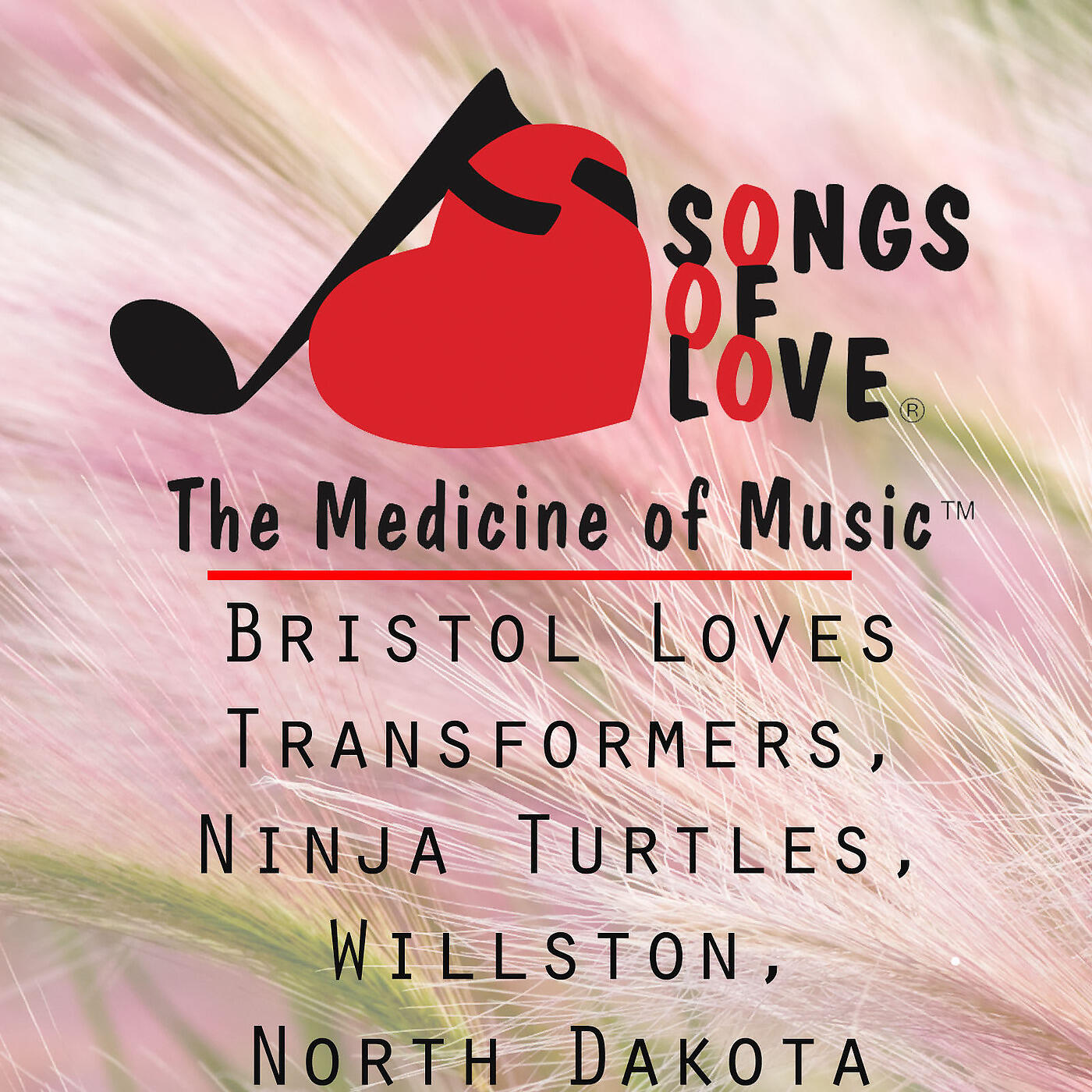 R. Orenstein - Bristol Loves Transformers, Ninja Turtles, Willston, North Dakota