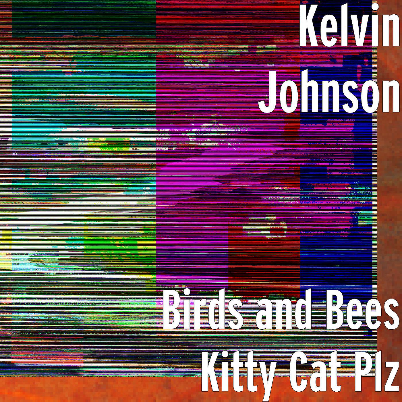 Постер альбома Birds and Bees Kitty Cat Plz